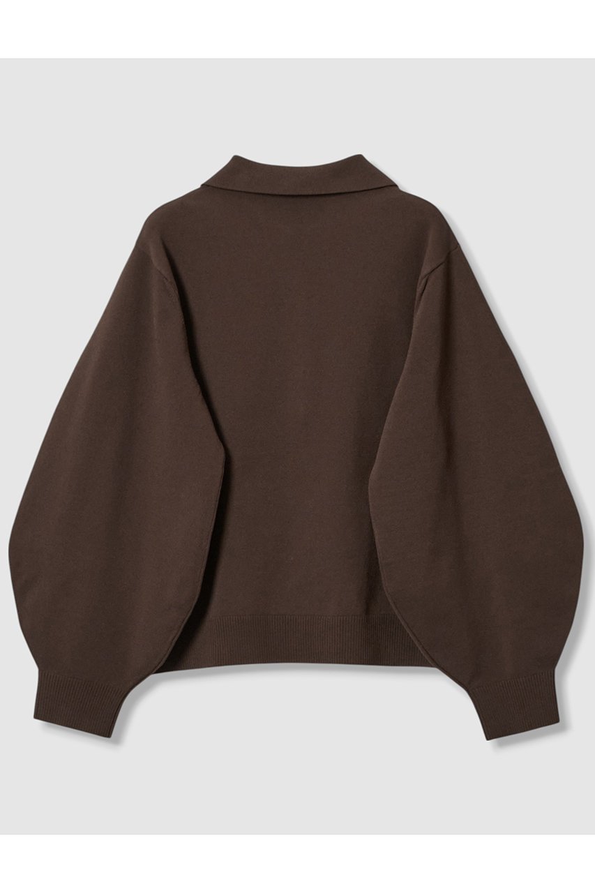 【アナイ/ANAYI】のプレーティングポロプルオーバー 人気、トレンドファッション・服の通販 founy(ファニー) 　ファッション　Fashion　レディースファッション　Fashion for Women　トップス・カットソー　Cut & Sew Tops　ニット　Knit Tops & Sweaters　カジュアルプルオーバー・ニットトップス　Pullovers & Knit Tops / Casual Pullovers　2025年　2025　2025-2026秋冬・A/W　Autumn/Winter 2025–26 AW25–26　なめらか　Smooth, Silky Texture　トレンド　Trend, Trending Now　フォルム　Silhouette, Form　フレア　Flare, Flared　フロント　Front, Front Design　ボトム　Bottoms, Lower Wear　メタル　Metal, Metal Parts　ワイド　Wide, Wide Fit　A/W・秋冬　Autumn/Winter　other-2|ID: prp329100004630845 ipo3291000000033313596