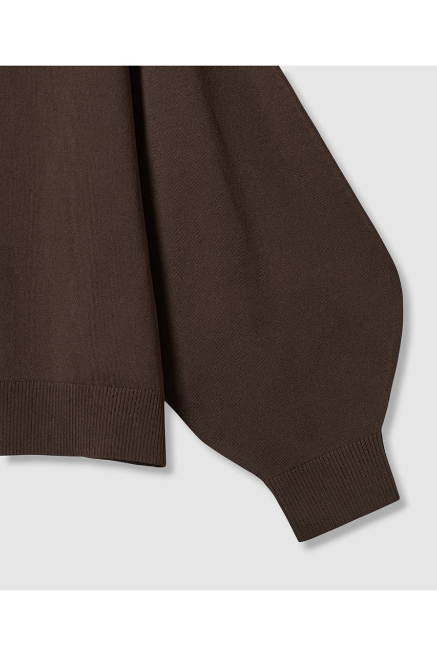 【アナイ/ANAYI】のプレーティングポロプルオーバー 人気、トレンドファッション・服の通販 founy(ファニー) 　ファッション　Fashion　レディースファッション　Fashion for Women　トップス・カットソー　Cut & Sew Tops　ニット　Knit Tops & Sweaters　カジュアルプルオーバー・ニットトップス　Pullovers & Knit Tops / Casual Pullovers　2025年　2025　2025-2026秋冬・A/W　Autumn/Winter 2025–26 AW25–26　なめらか　Smooth, Silky Texture　トレンド　Trend, Trending Now　フォルム　Silhouette, Form　フレア　Flare, Flared　フロント　Front, Front Design　ボトム　Bottoms, Lower Wear　メタル　Metal, Metal Parts　ワイド　Wide, Wide Fit　A/W・秋冬　Autumn/Winter　other-4|ID: prp329100004630845 ipo3291000000033313598