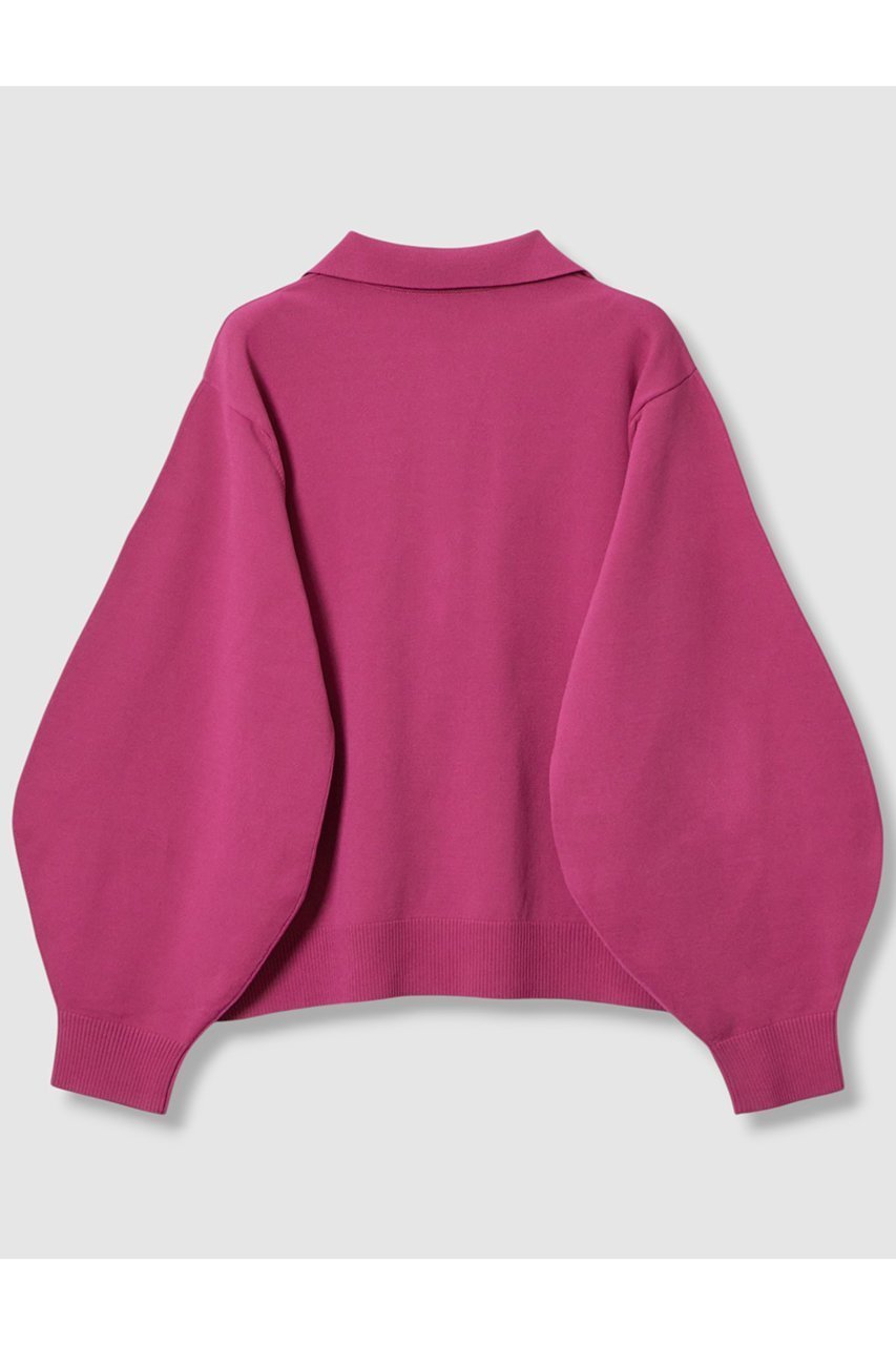 【アナイ/ANAYI】のプレーティングポロプルオーバー 人気、トレンドファッション・服の通販 founy(ファニー) 　ファッション　Fashion　レディースファッション　Fashion for Women　トップス・カットソー　Cut & Sew Tops　ニット　Knit Tops & Sweaters　カジュアルプルオーバー・ニットトップス　Pullovers & Knit Tops / Casual Pullovers　なめらか　Smooth, Silky Texture　トレンド　Trend, Trending Now　フォルム　Silhouette, Form　フレア　Flare, Flared　フロント　Front, Front Design　ボトム　Bottoms, Lower Wear　メタル　Metal, Metal Parts　ワイド　Wide, Wide Fit　other-2|ID: prp329100004630845 ipo3291000000035461673