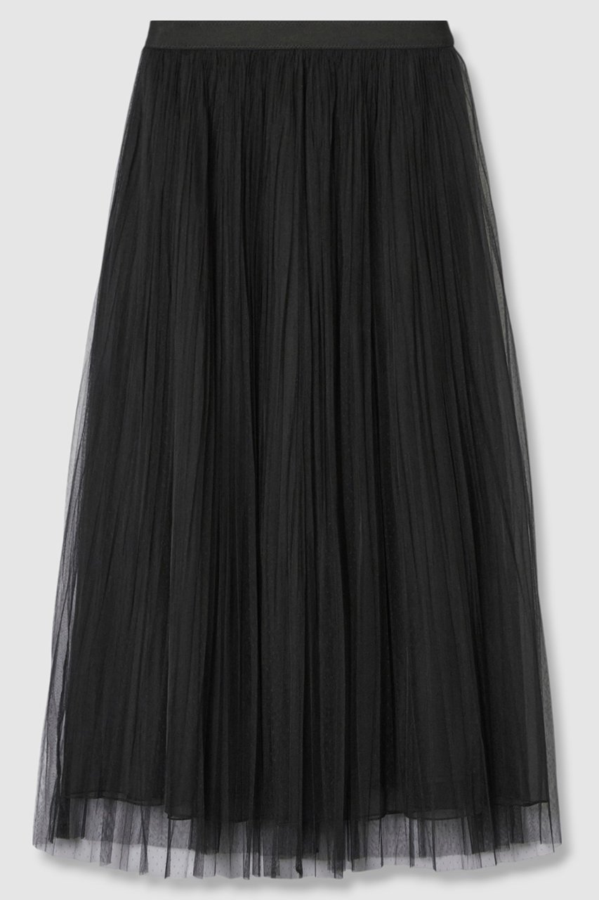 【アナイ/ANAYI】のドットチュールプリーツスカート インテリア・キッズ・メンズ・レディースファッション・服の通販 founy(ファニー) 　ファッション　Fashion　レディースファッション　Fashion for Women　スカート　Skirts　プリーツスカート / 上品フェミニンスタイル　Pleated Skirts　ロングスカート　Long Skirts / Maxi & Midi Skirts　2025年　2025　2025-2026秋冬・A/W　Autumn/Winter 2025–26 AW25–26　おすすめ　Recommended / Our Picks　なめらか　Smooth, Silky Texture　オーガンジー　Organza Fabric　シンプル　Simple, Minimal　ドット　Polka Dot, Dot Pattern　プリーツ　Pleats, Pleated　ロング　Long, Long-Length　エレガント 上品　Elegant　A/W・秋冬　Autumn/Winter　ブラック|ID: prp329100004630865 ipo3291000000033313759