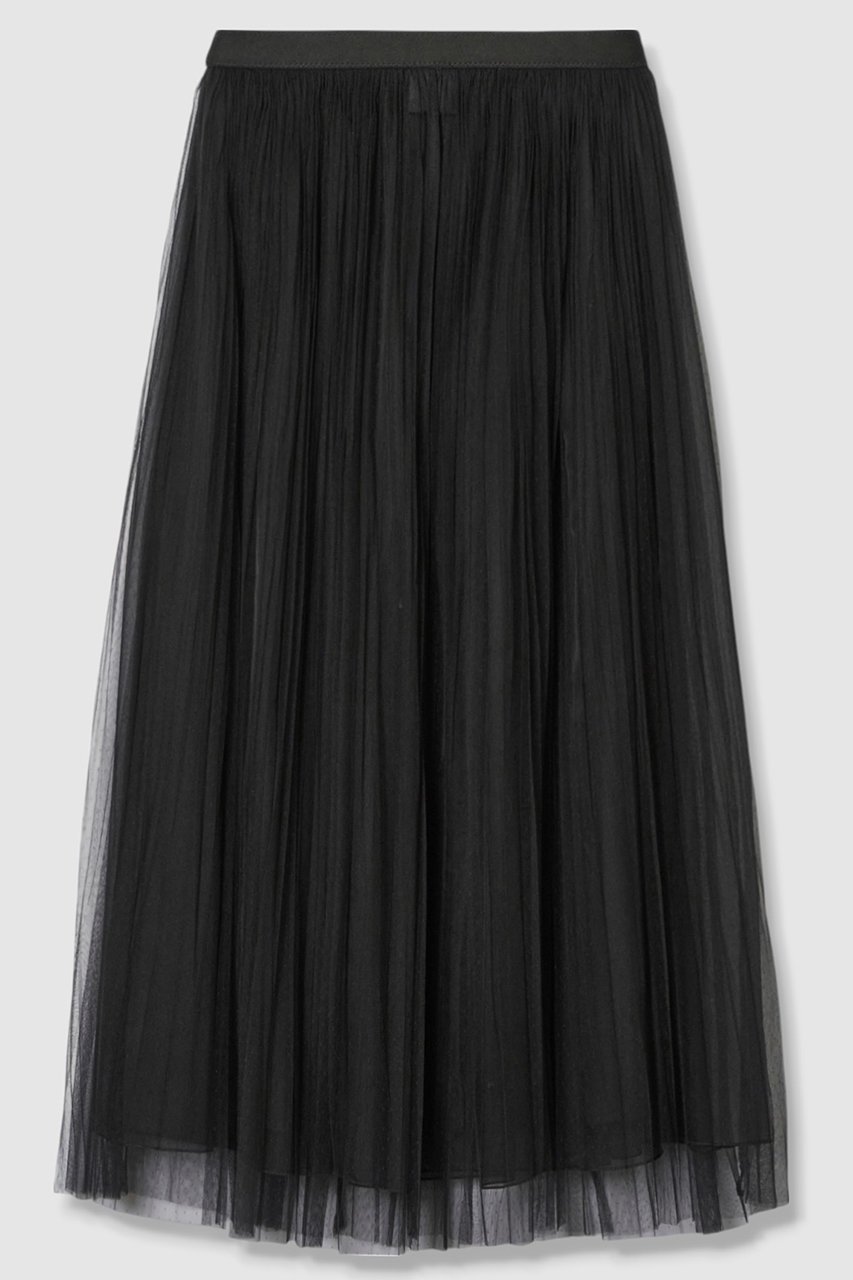 【アナイ/ANAYI】のドットチュールプリーツスカート 人気、トレンドファッション・服の通販 founy(ファニー) 　ファッション　Fashion　レディースファッション　Fashion for Women　スカート　Skirts　プリーツスカート / 上品フェミニンスタイル　Pleated Skirts　ロングスカート　Long Skirts / Maxi & Midi Skirts　2025年　2025　2025-2026秋冬・A/W　Autumn/Winter 2025–26 AW25–26　おすすめ　Recommended / Our Picks　なめらか　Smooth, Silky Texture　オーガンジー　Organza Fabric　シンプル　Simple, Minimal　ドット　Polka Dot, Dot Pattern　プリーツ　Pleats, Pleated　ロング　Long, Long-Length　エレガント 上品　Elegant　A/W・秋冬　Autumn/Winter　other-2|ID: prp329100004630865 ipo3291000000033313760