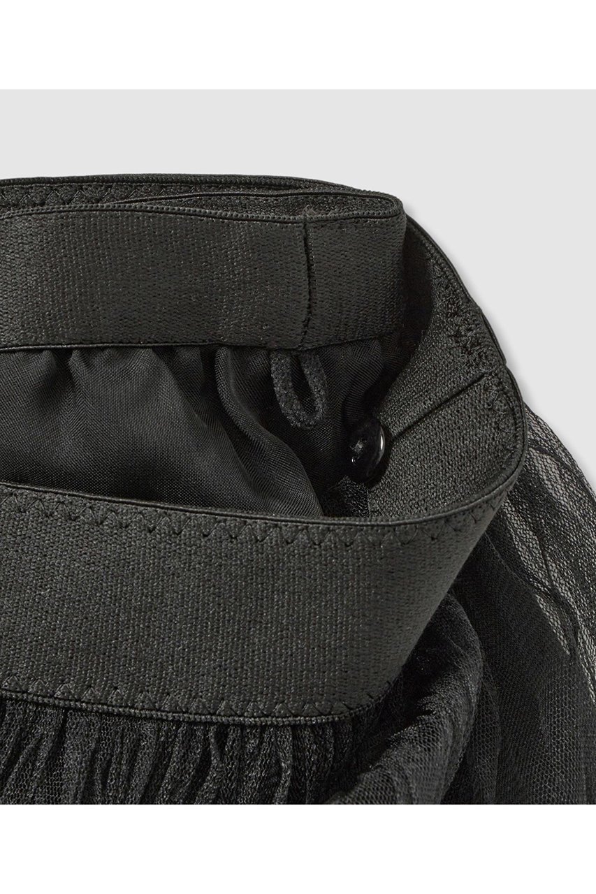 【アナイ/ANAYI】のドットチュールプリーツスカート 人気、トレンドファッション・服の通販 founy(ファニー) 　ファッション　Fashion　レディースファッション　Fashion for Women　スカート　Skirts　プリーツスカート / 上品フェミニンスタイル　Pleated Skirts　ロングスカート　Long Skirts / Maxi & Midi Skirts　2025年　2025　2025-2026秋冬・A/W　Autumn/Winter 2025–26 AW25–26　おすすめ　Recommended / Our Picks　なめらか　Smooth, Silky Texture　オーガンジー　Organza Fabric　シンプル　Simple, Minimal　ドット　Polka Dot, Dot Pattern　プリーツ　Pleats, Pleated　ロング　Long, Long-Length　エレガント 上品　Elegant　A/W・秋冬　Autumn/Winter　other-3|ID: prp329100004630865 ipo3291000000033313761