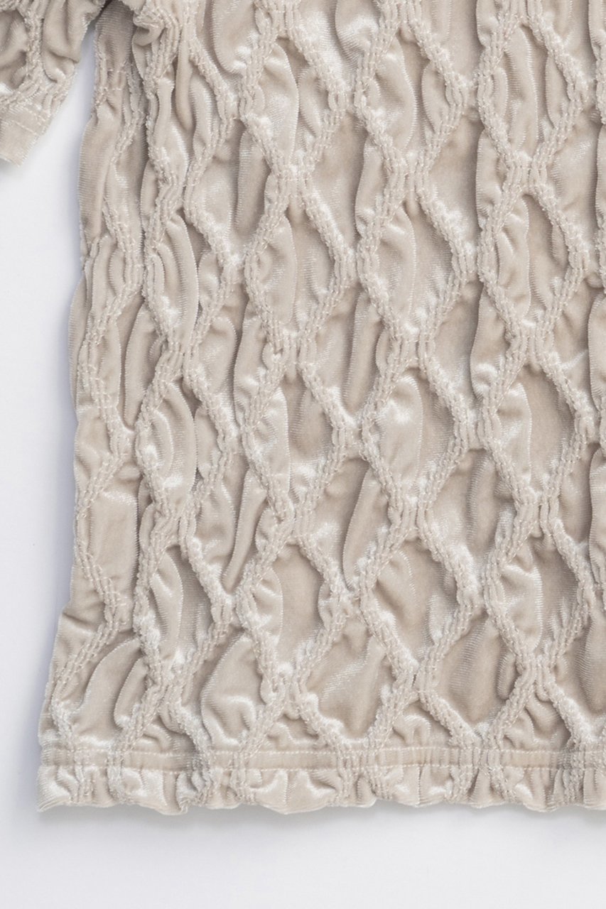 【メゾンスペシャル/MAISON SPECIAL】のVelor Shirring Tops/ベロアシャーリングトップス 人気、トレンドファッション・服の通販 founy(ファニー) ファッション Fashion レディースファッション Fashion for Women トップス・カットソー Cut & Sew Tops シャツ・ブラウス・オフィスカジュアル Elegant Blouses & Button-Ups ベロアトップス Velour Tops / Velvet-Look Items コンパクト Compact, Small Size シャーリング Shirring, Ruched ショート Short, Short Length ストレッチ Stretch, Stretchy Fabric スリーブ Sleeve, Long Sleeve / Short Sleeve ハーフ Half, Half-Length バランス Balance, Style Balance フィット Fit, Slim Fit ベロア Velour, Soft Velvet エレガント 上品 Elegant 秋 Autumn other-4|ID: prp329100004631630 ipo3291000000033328482