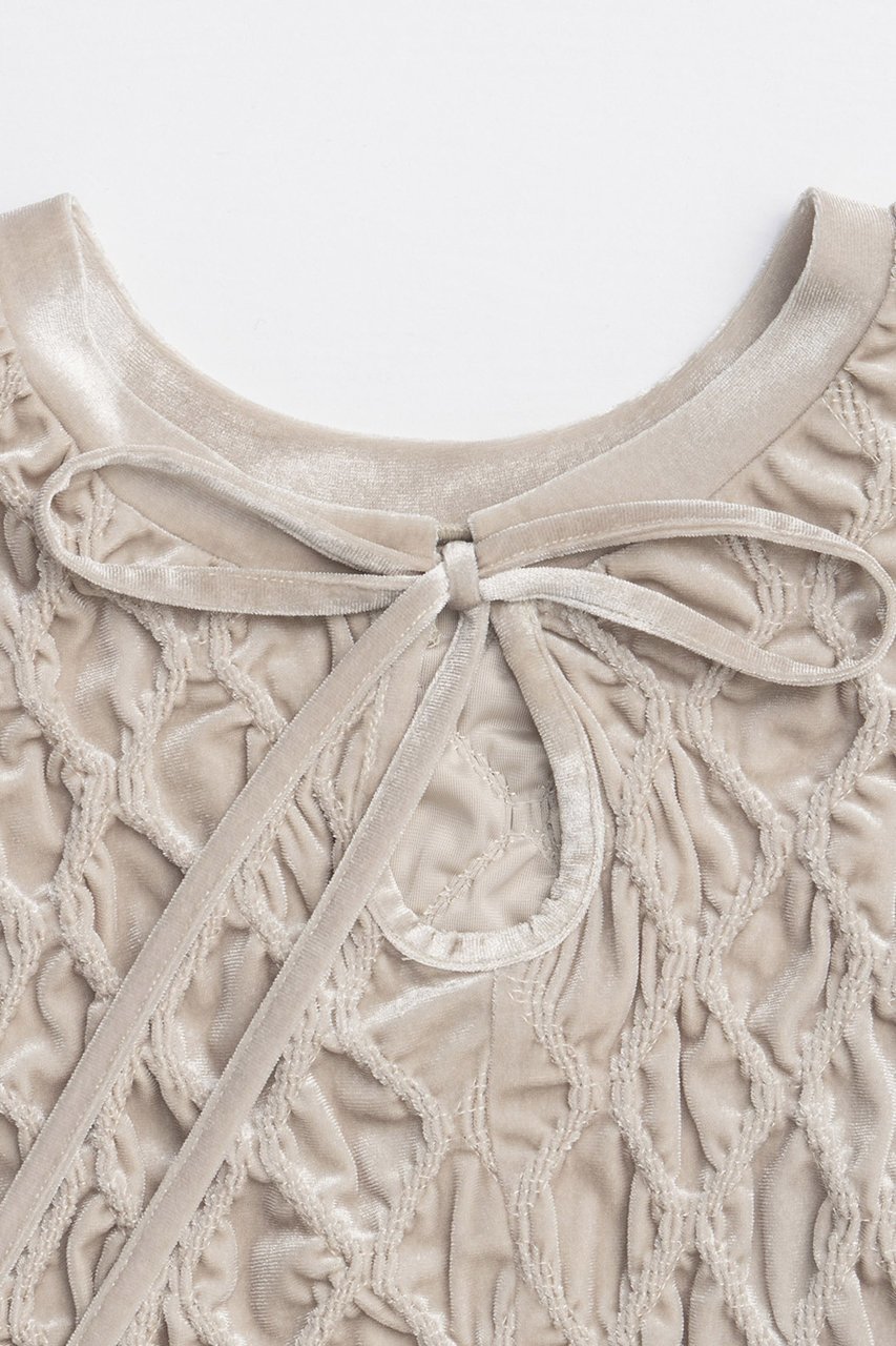 【メゾンスペシャル/MAISON SPECIAL】のVelor Shirring Tops/ベロアシャーリングトップス 人気、トレンドファッション・服の通販 founy(ファニー) ファッション Fashion レディースファッション Fashion for Women トップス・カットソー Cut & Sew Tops シャツ・ブラウス・オフィスカジュアル Elegant Blouses & Button-Ups ベロアトップス Velour Tops / Velvet-Look Items コンパクト Compact, Small Size シャーリング Shirring, Ruched ショート Short, Short Length ストレッチ Stretch, Stretchy Fabric スリーブ Sleeve, Long Sleeve / Short Sleeve ハーフ Half, Half-Length バランス Balance, Style Balance フィット Fit, Slim Fit ベロア Velour, Soft Velvet エレガント 上品 Elegant 秋 Autumn other-6|ID: prp329100004631630 ipo3291000000033328486