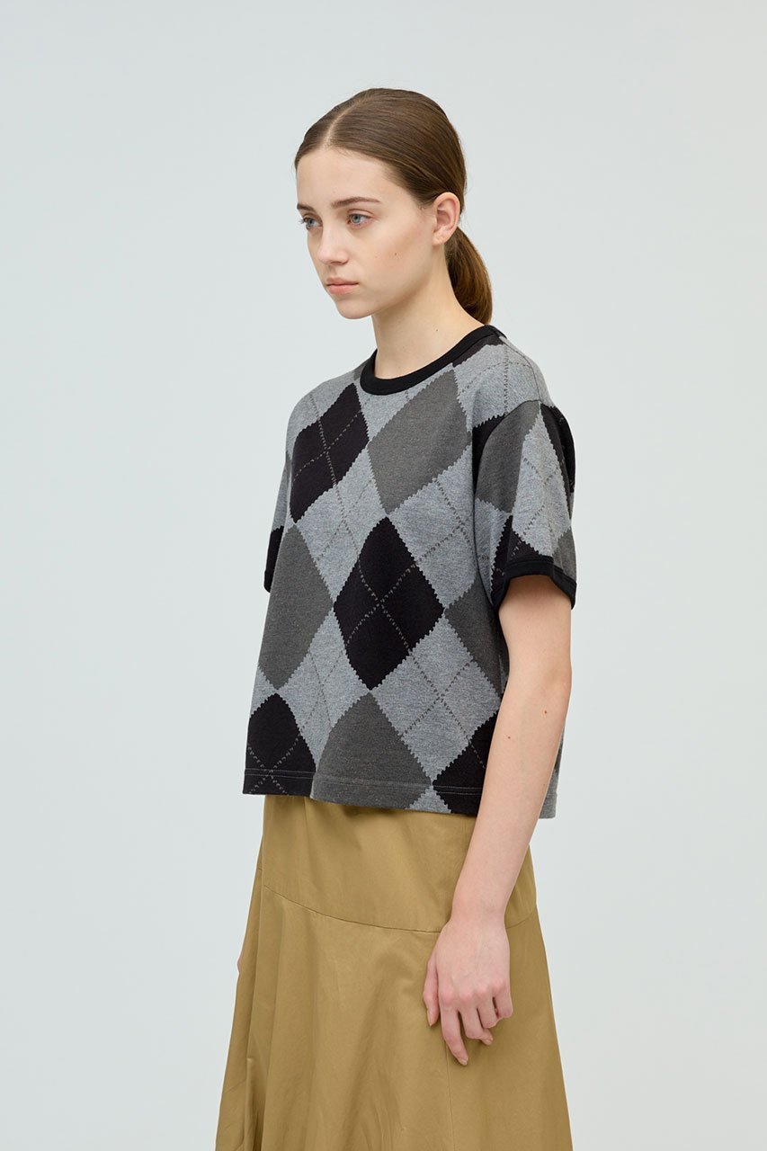 【ミズイロ インド/mizuiro ind】のargyle print T shirt シャツ 人気、トレンドファッション・服の通販 founy(ファニー) 　ファッション　Fashion　レディースファッション　Fashion for Women　トップス・カットソー　Cut & Sew Tops　シャツ・ブラウス・オフィスカジュアル　Elegant Blouses & Button-Ups　ロングTシャツ・Tシャツ　Longline T-Shirts & Tees　カットソー・ベーシックTシャツ　Cut-and-Sewn Tops / Stretch Tees & Basics　インナー　Innerwear　コンパクト　Compact, Small Size　ショート　Short, Short Length　ジャケット　Jacket, Outerwear　スリーブ　Sleeve, Long Sleeve / Short Sleeve　プリント　Print, Printed Pattern　半袖　Short Sleeve, Half Sleeve　秋　Autumn　other-8|ID: prp329100004632779 ipo3291000000033510993