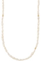 【プルミエ アロンディスモン/1er Arrondissement】の【Lemme.】ミニパールネックレス 人気、トレンドファッション・服の通販 founy(ファニー) ファッション Fashion レディースファッション Fashion for Women ジュエリー Jewelry ネックレス Necklaces & Pendants シューズ Shoes, Footwear ジュエリー Jewelry, Accessories チェーン Chain, Chain Strap ネックレス Necklace, Pendant Necklace パール Pearl, Pearl Accent ランダム Random, Irregular thumbnail シルバー|ID: prp329100004633565 ipo3291000000035784591