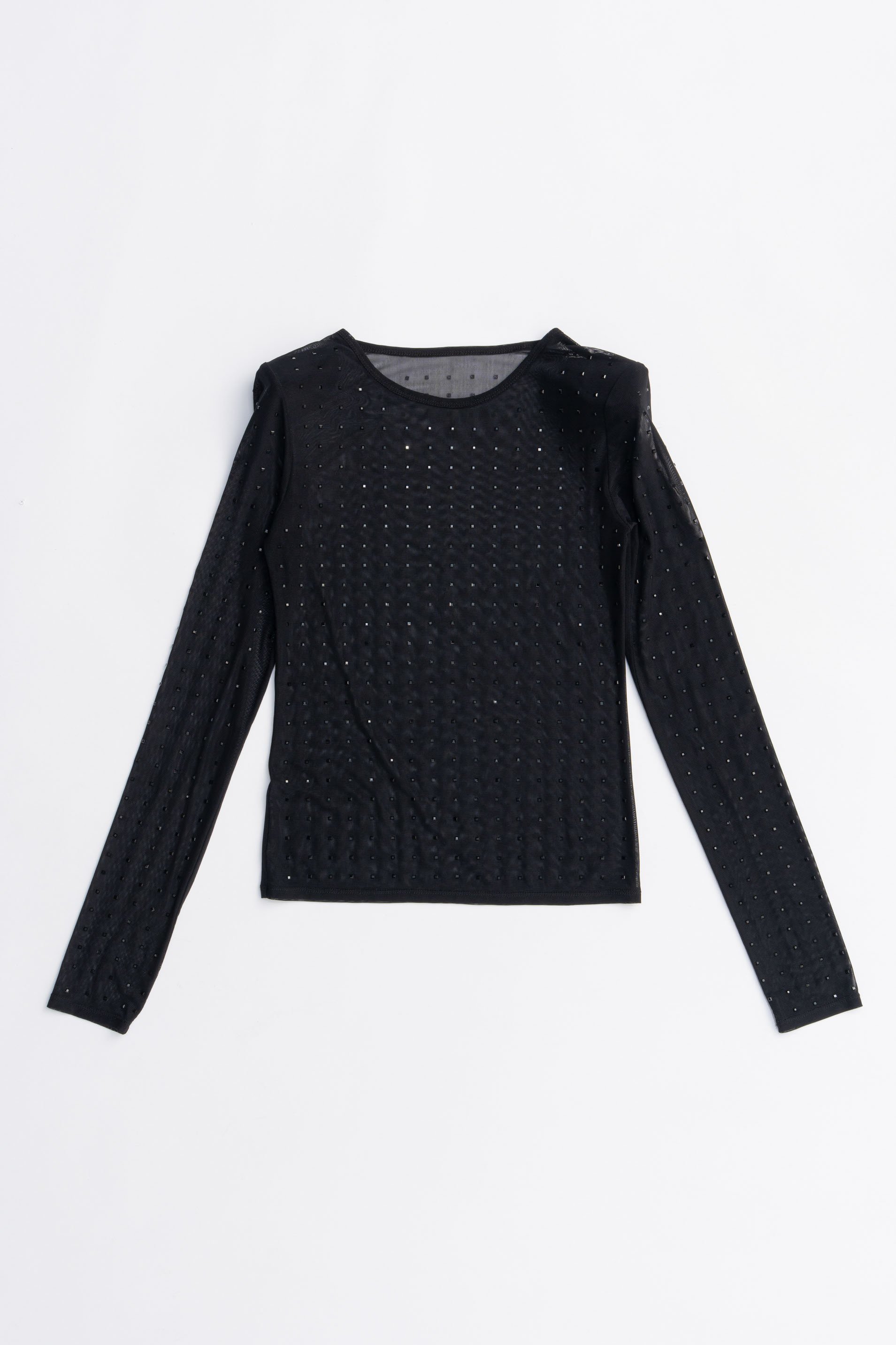 【プランク プロジェクト/PRANK PROJECT】のストーンメッシュスキントップ / Stone Mesh Skin Top インテリア・キッズ・メンズ・レディースファッション・服の通販 founy(ファニー) 　ファッション　Fashion　レディースファッション　Fashion for Women　トップス・カットソー　Cut & Sew Tops　シャツ・ブラウス・オフィスカジュアル　Elegant Blouses & Button-Ups　2025年　2025　2025-2026秋冬・A/W　Autumn/Winter 2025–26 AW25–26　ストーン　Stone, Gem-Like　スリーブ　Sleeve, Long Sleeve / Short Sleeve　メッシュ　Mesh, Net Fabric　ロング　Long, Long-Length　A/W・秋冬　Autumn/Winter　BLK(ブラック)|ID: prp329100004634670 ipo3291000000033369468