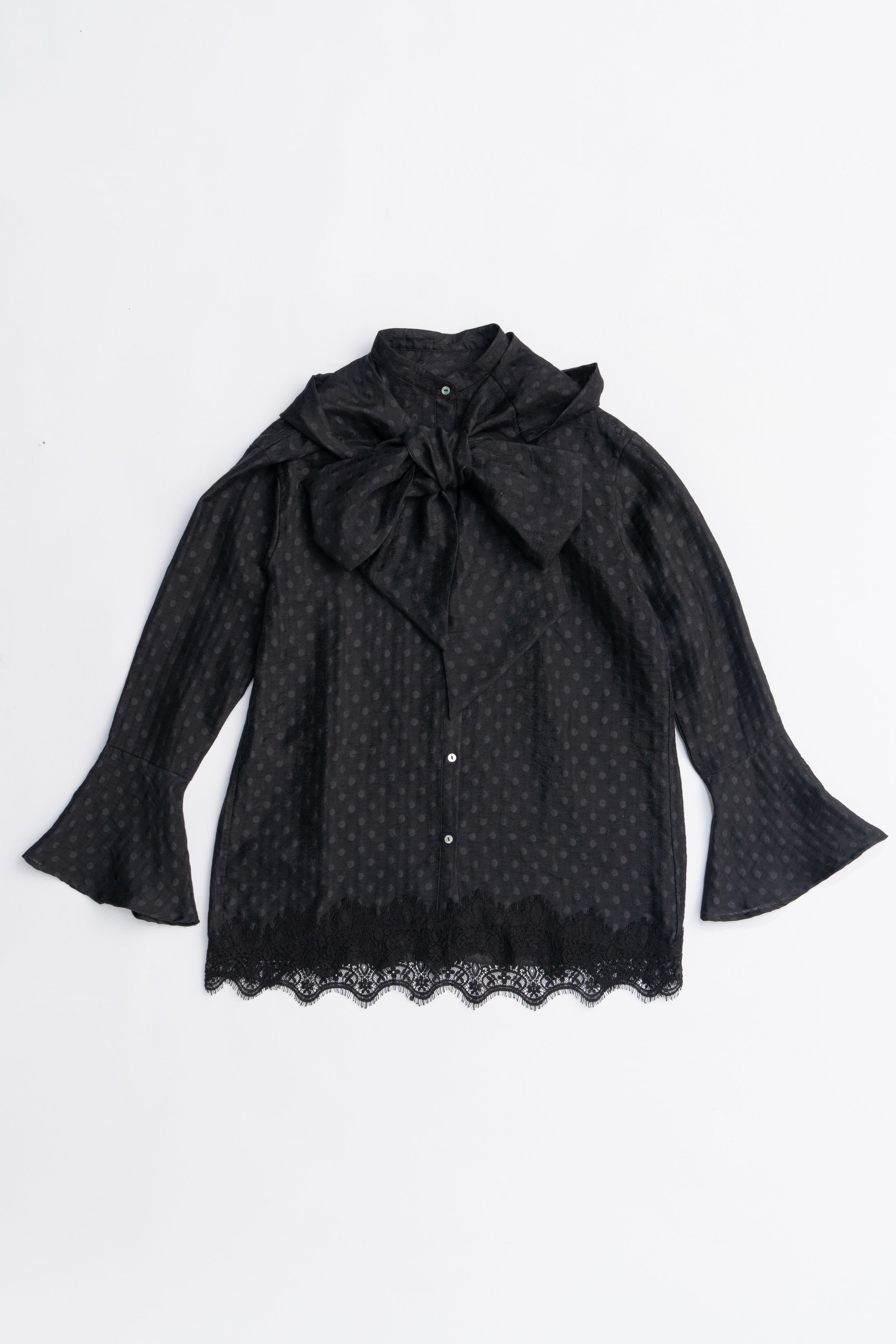 【プランク プロジェクト/PRANK PROJECT】のボウタイシャツ / Bow tie shirt インテリア・キッズ・メンズ・レディースファッション・服の通販 founy(ファニー) 　ファッション　Fashion　レディースファッション　Fashion for Women　トップス・カットソー　Cut & Sew Tops　シャツ・ブラウス・オフィスカジュアル　Elegant Blouses & Button-Ups　2025年　2025　2025-2026秋冬・A/W　Autumn/Winter 2025–26 AW25–26　おすすめ　Recommended / Our Picks　シアー　Sheer, See-Through　シルク　Silk, 100% Silk　ジャケット　Jacket, Outerwear　スリーブ　Sleeve, Long Sleeve / Short Sleeve　タイプライター　Typewriter Fabric, Crisp Cotton　ドット　Polka Dot, Dot Pattern　レース　Lace, Lace Fabric　ロング　Long, Long-Length　A/W・秋冬　Autumn/Winter　BLK(ブラック)|ID: prp329100004634673 ipo3291000000033369508