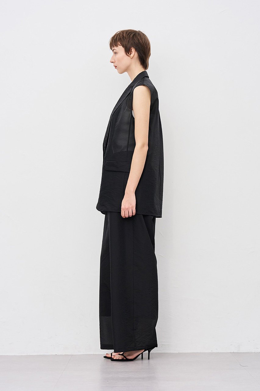 【アンクレイヴ/uncrave】の【8/13 12:00販売開始】シアーオーガンジー テーラードジレ 人気、トレンドファッション・服の通販 founy(ファニー) 　ファッション　Fashion　レディースファッション　Fashion for Women　アウター　Coat / Outerwear Collection　レディースジャケット・軽アウター　Jackets　2025年　2025　2025-2026秋冬・A/W　Autumn/Winter 2025–26 AW25–26　エアリー　Airy Texture　シアー　Sheer, See-Through　シンプル　Simple, Minimal　ジャケット　Jacket, Outerwear　ブライト　Bright, Shiny　ベスト　Vest, Waistcoat　エレガント 上品　Elegant　A/W・秋冬　Autumn/Winter　other-4|ID: prp329100004636017 ipo3291000000033394028