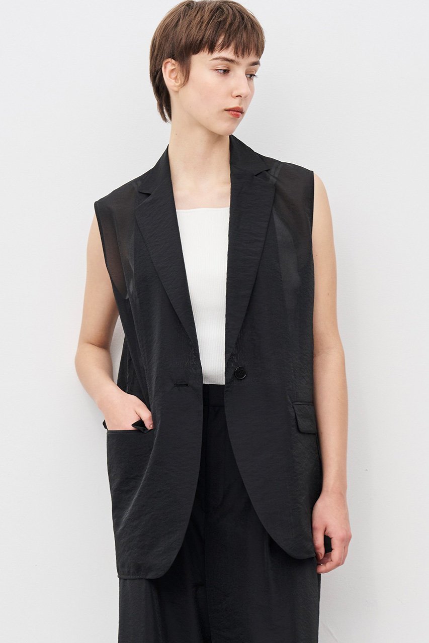 【アンクレイヴ/uncrave】の【8/13 12:00販売開始】シアーオーガンジー テーラードジレ 人気、トレンドファッション・服の通販 founy(ファニー) 　ファッション　Fashion　レディースファッション　Fashion for Women　アウター　Coat / Outerwear Collection　レディースジャケット・軽アウター　Jackets　2025年　2025　2025-2026秋冬・A/W　Autumn/Winter 2025–26 AW25–26　エアリー　Airy Texture　シアー　Sheer, See-Through　シンプル　Simple, Minimal　ジャケット　Jacket, Outerwear　ブライト　Bright, Shiny　ベスト　Vest, Waistcoat　エレガント 上品　Elegant　A/W・秋冬　Autumn/Winter　other-6|ID: prp329100004636017 ipo3291000000033394030