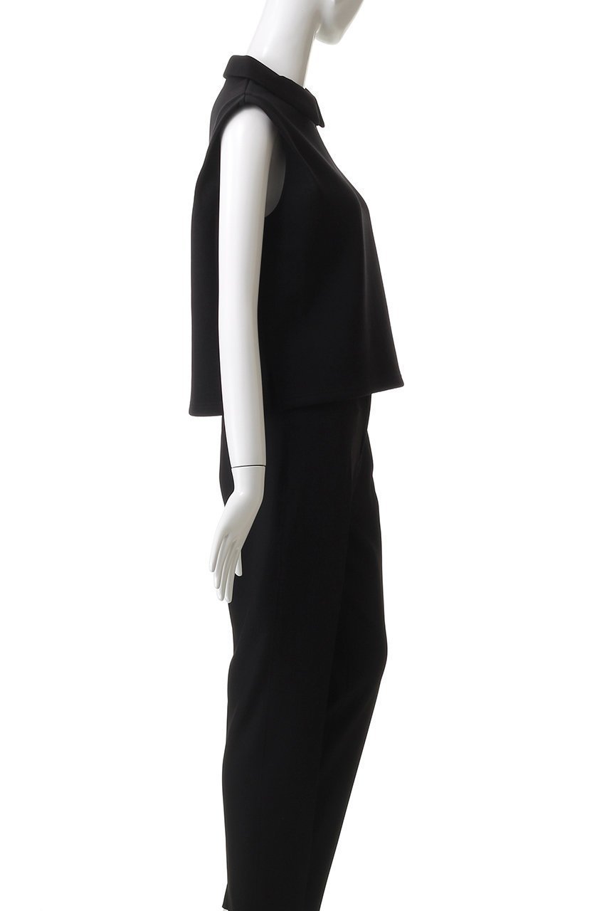【アルアバイル/allureville】のハーフZIP プルオーバー 人気、トレンドファッション・服の通販 founy(ファニー) 　ファッション　Fashion　レディースファッション　Fashion for Women　トップス・カットソー　Cut & Sew Tops　シャツ・ブラウス・オフィスカジュアル　Elegant Blouses & Button-Ups　ロングTシャツ・Tシャツ　Longline T-Shirts & Tees　カジュアルプルオーバー・ニットトップス　Pullovers & Knit Tops / Casual Pullovers　カットソー・ベーシックTシャツ　Cut-and-Sewn Tops / Stretch Tees & Basics　2025年　2025　2025-2026秋冬・A/W　Autumn/Winter 2025–26 AW25–26　インナー　Innerwear　ショート　Short, Short Length　シンプル　Simple, Minimal　ジップ　Zip, Zipper　スリーブ　Sleeve, Long Sleeve / Short Sleeve　ノースリーブ　Sleeveless, No-Sleeve　ハーフ　Half, Half-Length　エレガント 上品　Elegant　A/W・秋冬　Autumn/Winter　other-3|ID: prp329100004636647 ipo3291000000033407008