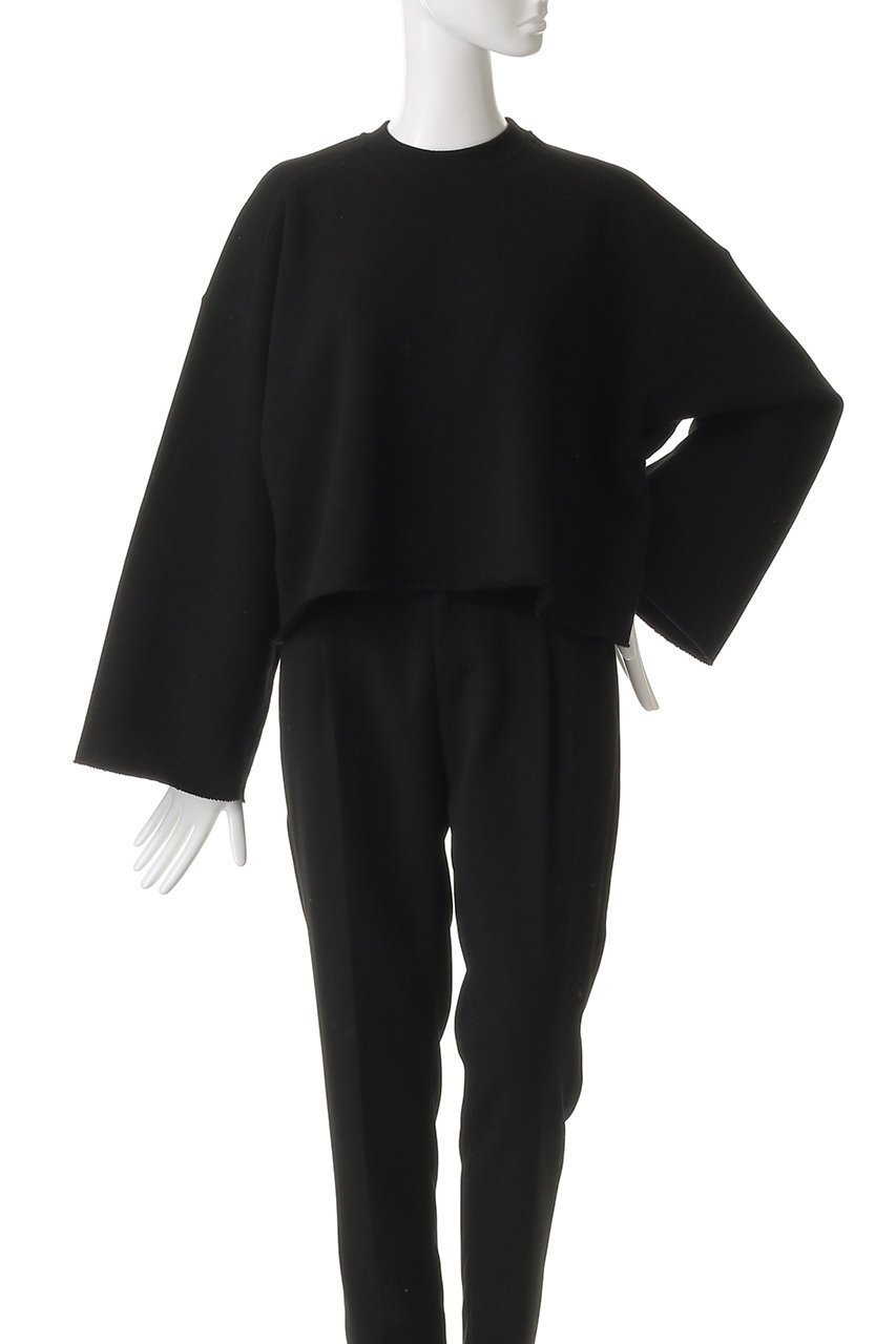 【サクラ/SACRA】のプレミアムフリーストップス 人気、トレンドファッション・服の通販 founy(ファニー) 　ファッション　Fashion　レディースファッション　Fashion for Women　トップス・カットソー　Cut & Sew Tops　シャツ・ブラウス・オフィスカジュアル　Elegant Blouses & Button-Ups　ロングTシャツ・Tシャツ　Longline T-Shirts & Tees　カットソー・ベーシックTシャツ　Cut-and-Sewn Tops / Stretch Tees & Basics　2025年　2025　2025-2026秋冬・A/W　Autumn/Winter 2025–26 AW25–26　クロップド　Cropped, Short Length　スリーブ　Sleeve, Long Sleeve / Short Sleeve　バランス　Balance, Style Balance　モダン　Modern, Contemporary　ロング　Long, Long-Length　ワイド　Wide, Wide Fit　A/W・秋冬　Autumn/Winter　other-2|ID: prp329100004636652 ipo3291000000033407046