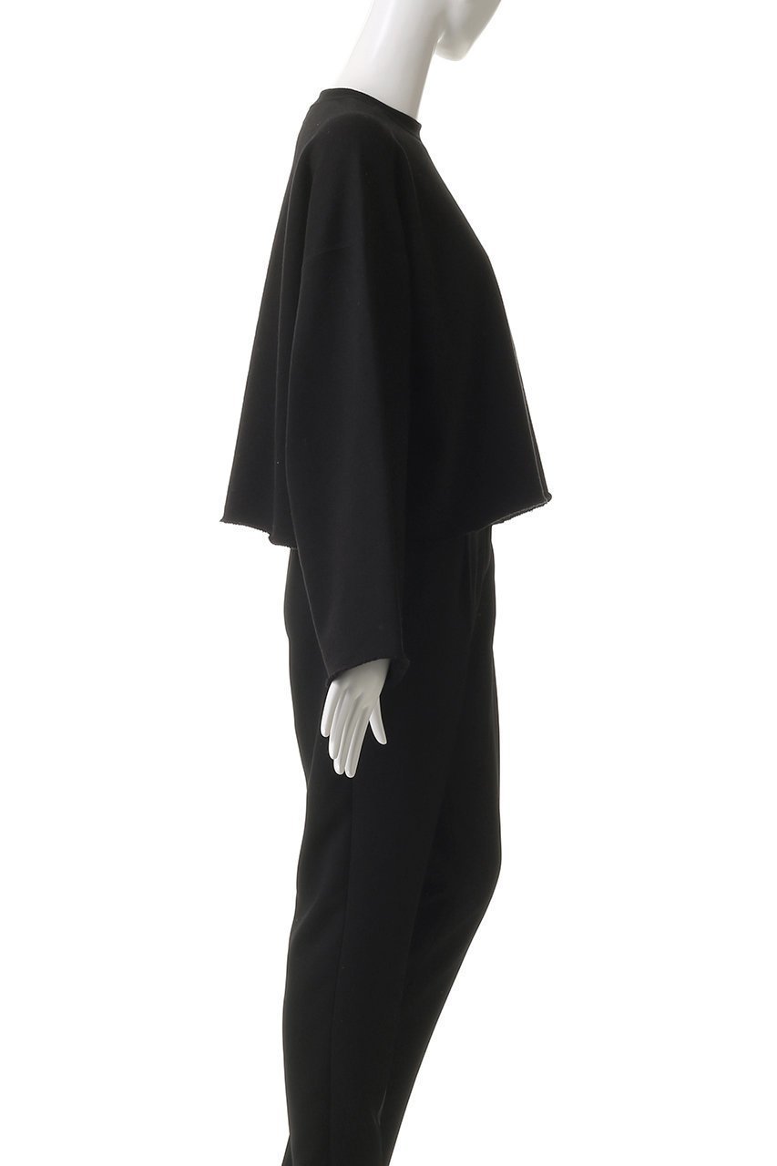 【サクラ/SACRA】のプレミアムフリーストップス 人気、トレンドファッション・服の通販 founy(ファニー) 　ファッション　Fashion　レディースファッション　Fashion for Women　トップス・カットソー　Cut & Sew Tops　シャツ・ブラウス・オフィスカジュアル　Elegant Blouses & Button-Ups　ロングTシャツ・Tシャツ　Longline T-Shirts & Tees　カットソー・ベーシックTシャツ　Cut-and-Sewn Tops / Stretch Tees & Basics　2025年　2025　2025-2026秋冬・A/W　Autumn/Winter 2025–26 AW25–26　クロップド　Cropped, Short Length　スリーブ　Sleeve, Long Sleeve / Short Sleeve　バランス　Balance, Style Balance　モダン　Modern, Contemporary　ロング　Long, Long-Length　ワイド　Wide, Wide Fit　A/W・秋冬　Autumn/Winter　other-3|ID: prp329100004636652 ipo3291000000033407048
