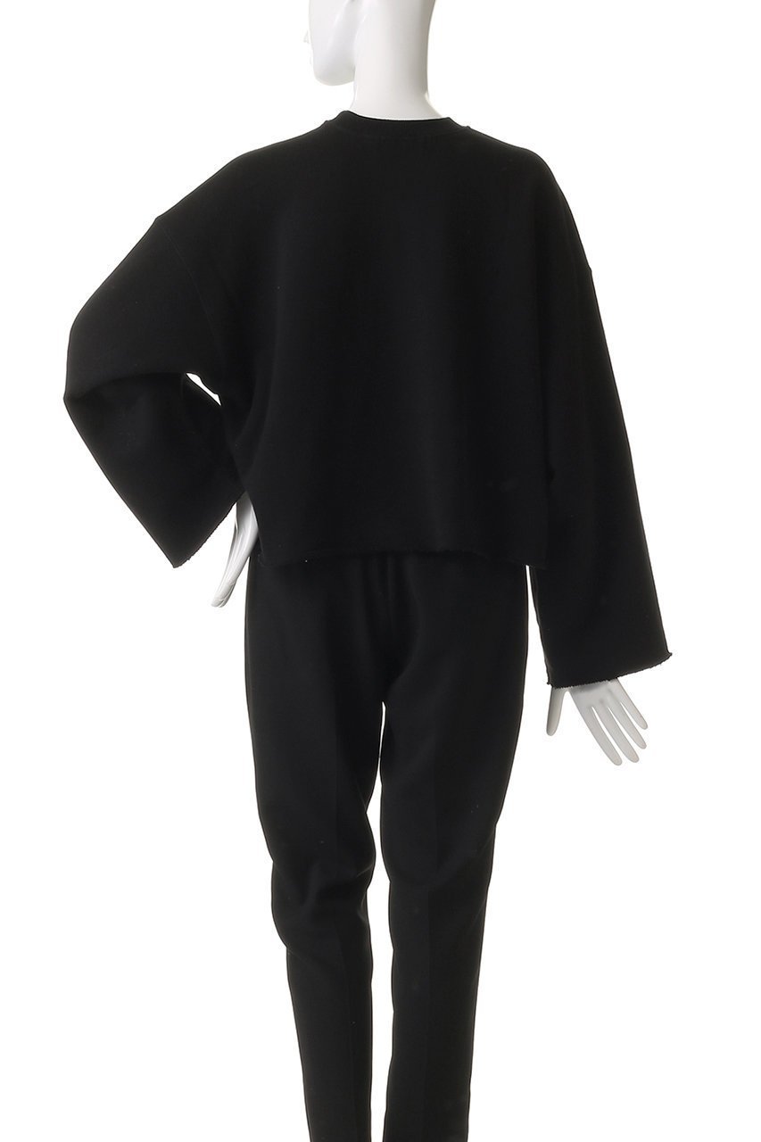 【サクラ/SACRA】のプレミアムフリーストップス 人気、トレンドファッション・服の通販 founy(ファニー) 　ファッション　Fashion　レディースファッション　Fashion for Women　トップス・カットソー　Cut & Sew Tops　シャツ・ブラウス・オフィスカジュアル　Elegant Blouses & Button-Ups　ロングTシャツ・Tシャツ　Longline T-Shirts & Tees　カットソー・ベーシックTシャツ　Cut-and-Sewn Tops / Stretch Tees & Basics　2025年　2025　2025-2026秋冬・A/W　Autumn/Winter 2025–26 AW25–26　クロップド　Cropped, Short Length　スリーブ　Sleeve, Long Sleeve / Short Sleeve　バランス　Balance, Style Balance　モダン　Modern, Contemporary　ロング　Long, Long-Length　ワイド　Wide, Wide Fit　A/W・秋冬　Autumn/Winter　other-4|ID: prp329100004636652 ipo3291000000033407049
