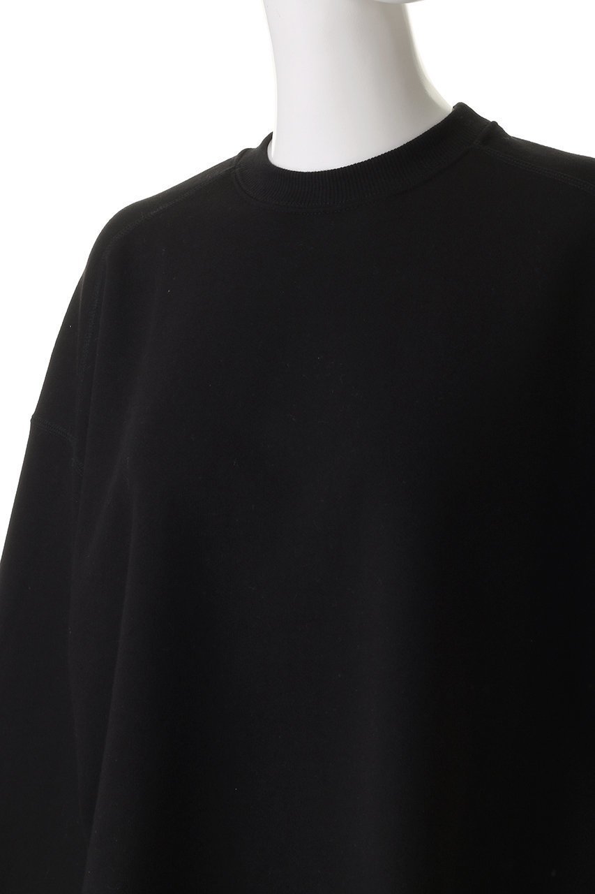 【サクラ/SACRA】のプレミアムフリーストップス 人気、トレンドファッション・服の通販 founy(ファニー) 　ファッション　Fashion　レディースファッション　Fashion for Women　トップス・カットソー　Cut & Sew Tops　シャツ・ブラウス・オフィスカジュアル　Elegant Blouses & Button-Ups　ロングTシャツ・Tシャツ　Longline T-Shirts & Tees　カットソー・ベーシックTシャツ　Cut-and-Sewn Tops / Stretch Tees & Basics　2025年　2025　2025-2026秋冬・A/W　Autumn/Winter 2025–26 AW25–26　クロップド　Cropped, Short Length　スリーブ　Sleeve, Long Sleeve / Short Sleeve　バランス　Balance, Style Balance　モダン　Modern, Contemporary　ロング　Long, Long-Length　ワイド　Wide, Wide Fit　A/W・秋冬　Autumn/Winter　other-5|ID: prp329100004636652 ipo3291000000033407052