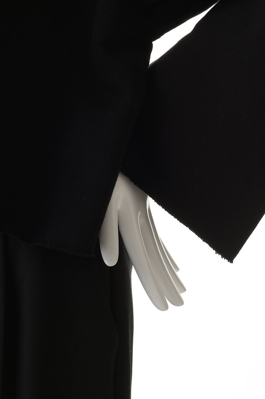 【サクラ/SACRA】のプレミアムフリーストップス 人気、トレンドファッション・服の通販 founy(ファニー) 　ファッション　Fashion　レディースファッション　Fashion for Women　トップス・カットソー　Cut & Sew Tops　シャツ・ブラウス・オフィスカジュアル　Elegant Blouses & Button-Ups　ロングTシャツ・Tシャツ　Longline T-Shirts & Tees　カットソー・ベーシックTシャツ　Cut-and-Sewn Tops / Stretch Tees & Basics　2025年　2025　2025-2026秋冬・A/W　Autumn/Winter 2025–26 AW25–26　クロップド　Cropped, Short Length　スリーブ　Sleeve, Long Sleeve / Short Sleeve　バランス　Balance, Style Balance　モダン　Modern, Contemporary　ロング　Long, Long-Length　ワイド　Wide, Wide Fit　A/W・秋冬　Autumn/Winter　other-6|ID: prp329100004636652 ipo3291000000033407054
