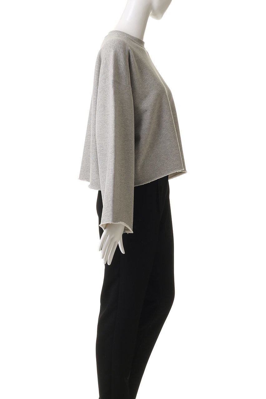 【サクラ/SACRA】のプレミアムフリーストップス 人気、トレンドファッション・服の通販 founy(ファニー) 　ファッション　Fashion　レディースファッション　Fashion for Women　トップス・カットソー　Cut & Sew Tops　シャツ・ブラウス・オフィスカジュアル　Elegant Blouses & Button-Ups　ロングTシャツ・Tシャツ　Longline T-Shirts & Tees　カットソー・ベーシックTシャツ　Cut-and-Sewn Tops / Stretch Tees & Basics　クロップド　Cropped, Short Length　スリーブ　Sleeve, Long Sleeve / Short Sleeve　バランス　Balance, Style Balance　モダン　Modern, Contemporary　ロング　Long, Long-Length　ワイド　Wide, Wide Fit　other-3|ID: prp329100004636652 ipo3291000000035615986