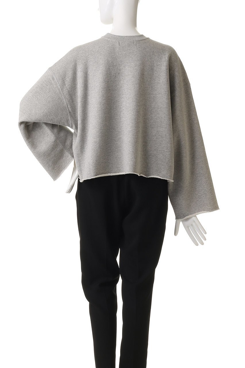 【サクラ/SACRA】のプレミアムフリーストップス 人気、トレンドファッション・服の通販 founy(ファニー) 　ファッション　Fashion　レディースファッション　Fashion for Women　トップス・カットソー　Cut & Sew Tops　シャツ・ブラウス・オフィスカジュアル　Elegant Blouses & Button-Ups　ロングTシャツ・Tシャツ　Longline T-Shirts & Tees　カットソー・ベーシックTシャツ　Cut-and-Sewn Tops / Stretch Tees & Basics　クロップド　Cropped, Short Length　スリーブ　Sleeve, Long Sleeve / Short Sleeve　バランス　Balance, Style Balance　モダン　Modern, Contemporary　ロング　Long, Long-Length　ワイド　Wide, Wide Fit　other-4|ID: prp329100004636652 ipo3291000000035615988