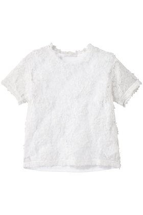 【カナコ サカイ/KANAKO SAKAI】 LACE Tシャツ人気、トレンドファッション・服の通販 founy(ファニー) ファッション Fashion レディースファッション Fashion for Women トップス・カットソー Cut & Sew Tops シャツ・ブラウス・オフィスカジュアル Elegant Blouses & Button-Ups ロングTシャツ・Tシャツ Longline T-Shirts & Tees 2025年 2025 2025-2026秋冬・A/W Autumn/Winter 2025–26 AW25–26 インナー Innerwear コンパクト Compact, Small Size ショート Short, Short Length スリーブ Sleeve, Long Sleeve / Short Sleeve ダウン Down, Puffer デニム Denim, Jeans Material レース Lace, Lace Fabric エレガント 上品 Elegant A/W・秋冬 Autumn/Winter |ID:prp329100004636700