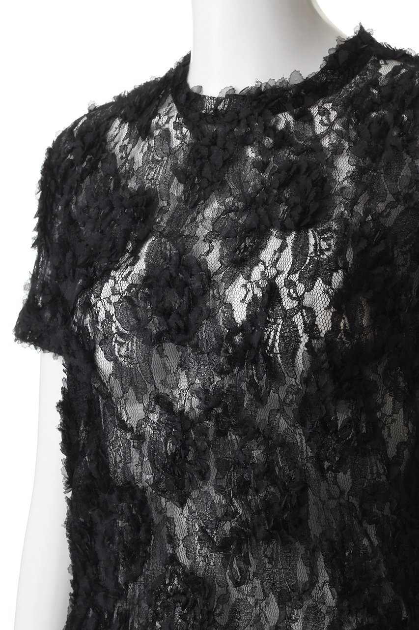 【カナコ サカイ/KANAKO SAKAI】のLACE Tシャツ 人気、トレンドファッション・服の通販 founy(ファニー) 　ファッション　Fashion　レディースファッション　Fashion for Women　トップス・カットソー　Cut & Sew Tops　シャツ・ブラウス・オフィスカジュアル　Elegant Blouses & Button-Ups　ロングTシャツ・Tシャツ　Longline T-Shirts & Tees　2025年　2025　2025-2026秋冬・A/W　Autumn/Winter 2025–26 AW25–26　インナー　Innerwear　コンパクト　Compact, Small Size　ショート　Short, Short Length　スリーブ　Sleeve, Long Sleeve / Short Sleeve　ダウン　Down, Puffer　デニム　Denim, Jeans Material　レース　Lace, Lace Fabric　エレガント 上品　Elegant　A/W・秋冬　Autumn/Winter　other-5|ID: prp329100004636700 ipo3291000000033407363