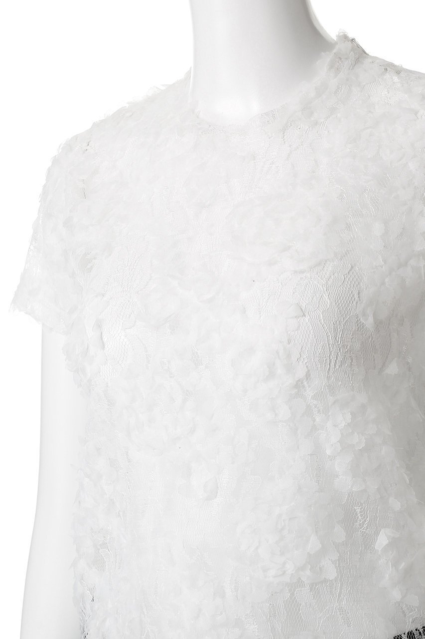 【カナコ サカイ/KANAKO SAKAI】のLACE Tシャツ 人気、トレンドファッション・服の通販 founy(ファニー) 　ファッション　Fashion　レディースファッション　Fashion for Women　トップス・カットソー　Cut & Sew Tops　シャツ・ブラウス・オフィスカジュアル　Elegant Blouses & Button-Ups　ロングTシャツ・Tシャツ　Longline T-Shirts & Tees　インナー　Innerwear　コンパクト　Compact, Small Size　ショート　Short, Short Length　スリーブ　Sleeve, Long Sleeve / Short Sleeve　ダウン　Down, Puffer　デニム　Denim, Jeans Material　レース　Lace, Lace Fabric　エレガント 上品　Elegant　other-5|ID: prp329100004636700 ipo3291000000035713106