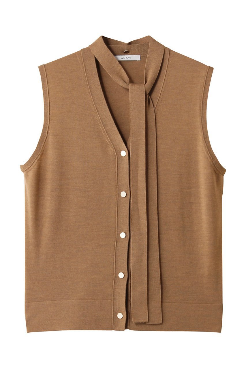 【アナイ/ANAYI】のスーパーFメリノタイ付ベスト インテリア・キッズ・メンズ・レディースファッション・服の通販 founy(ファニー) 　ファッション　Fashion　レディースファッション　Fashion for Women　トップス・カットソー　Cut & Sew Tops　ニット　Knit Tops & Sweaters　ベスト&ジレ / 重ね着スタイル　Vests & Gilets　カジュアルプルオーバー・ニットトップス　Pullovers & Knit Tops / Casual Pullovers　2025年　2025　2025-2026秋冬・A/W　Autumn/Winter 2025–26 AW25–26　おすすめ　Recommended / Our Picks　なめらか　Smooth, Silky Texture　ベスト　Vest, Waistcoat　A/W・秋冬　Autumn/Winter　キャメル|ID: prp329100004636744 ipo3291000000033407692