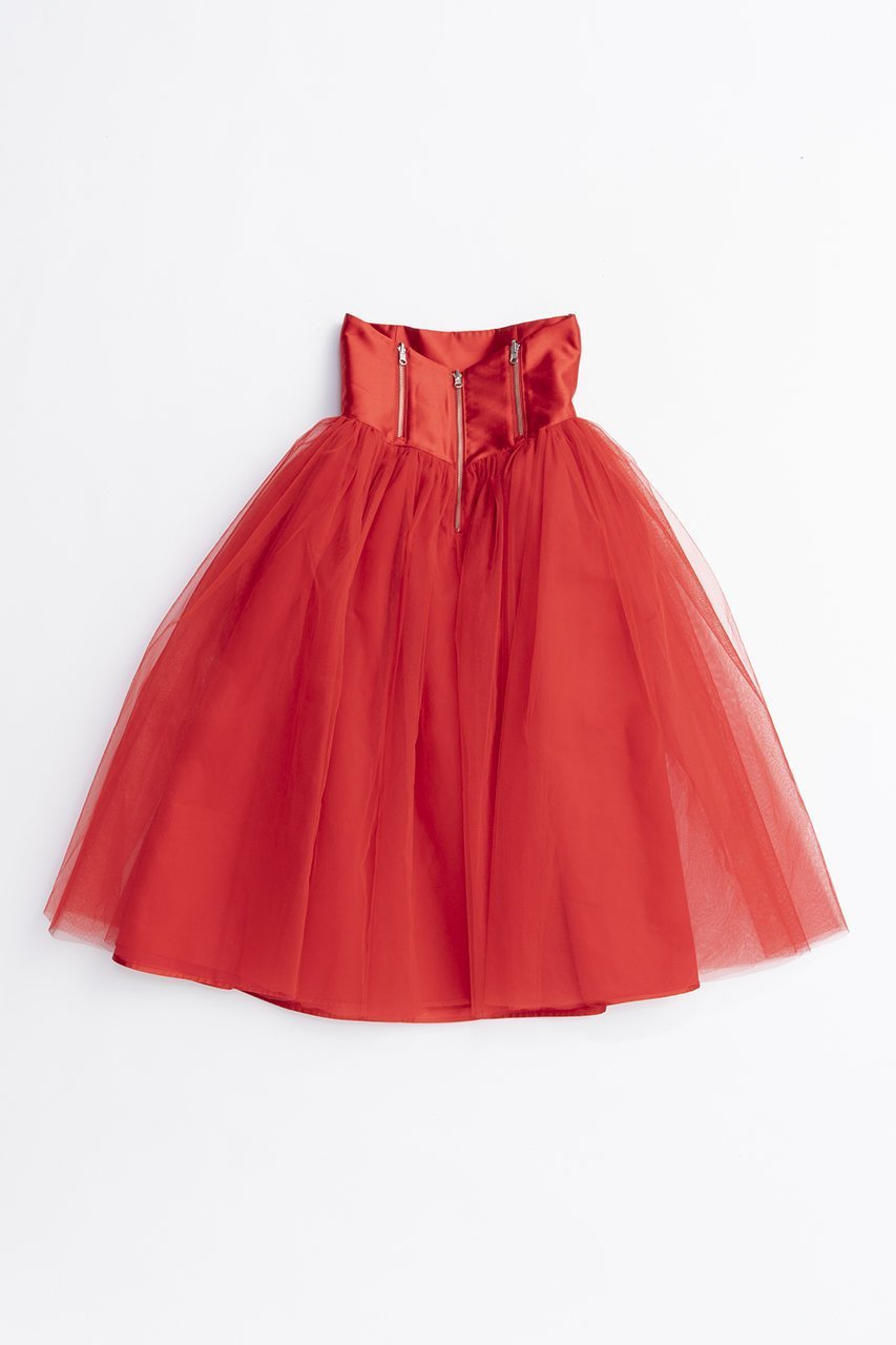【プランク プロジェクト/PRANK PROJECT】のリバーシブルチュールスカート / Reversible Tulle Skirt インテリア・キッズ・メンズ・レディースファッション・服の通販 founy(ファニー) 　ファッション　Fashion　レディースファッション　Fashion for Women　スカート　Skirts　ロングスカート　Long Skirts / Maxi & Midi Skirts　2025年　2025　2025-2026秋冬・A/W　Autumn/Winter 2025–26 AW25–26　おすすめ　Recommended / Our Picks　コルセット　Corset, Bustier　シューズ　Shoes, Footwear　シルク　Silk, 100% Silk　スウェット / スエット　Sweatshirt, Sweatwear　スニーカー　Sneakers, Trainers　ソックス　Socks, Hosiery　ダウン　Down, Puffer　チュール　Tulip, Tulip Motif　フレア　Flare, Flared　マキシ　Maxi, Full Length　リバーシブル　Reversible, Two-Sided　ロング　Long, Long-Length　A/W・秋冬　Autumn/Winter　RED(レッド)|ID: prp329100004636808 ipo3291000000033408231