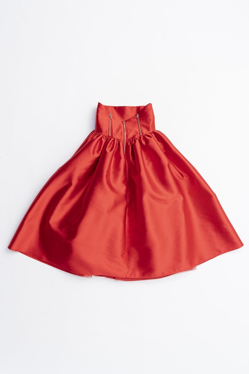 【プランク プロジェクト/PRANK PROJECT】のリバーシブルチュールスカート / Reversible Tulle Skirt 人気、トレンドファッション・服の通販 founy(ファニー) 　ファッション　Fashion　レディースファッション　Fashion for Women　スカート　Skirts　ロングスカート　Long Skirts / Maxi & Midi Skirts　2025年　2025　2025-2026秋冬・A/W　Autumn/Winter 2025–26 AW25–26　おすすめ　Recommended / Our Picks　コルセット　Corset, Bustier　シューズ　Shoes, Footwear　シルク　Silk, 100% Silk　スウェット / スエット　Sweatshirt, Sweatwear　スニーカー　Sneakers, Trainers　ソックス　Socks, Hosiery　ダウン　Down, Puffer　チュール　Tulip, Tulip Motif　フレア　Flare, Flared　マキシ　Maxi, Full Length　リバーシブル　Reversible, Two-Sided　ロング　Long, Long-Length　A/W・秋冬　Autumn/Winter　other-2|ID: prp329100004636808 ipo3291000000033408232