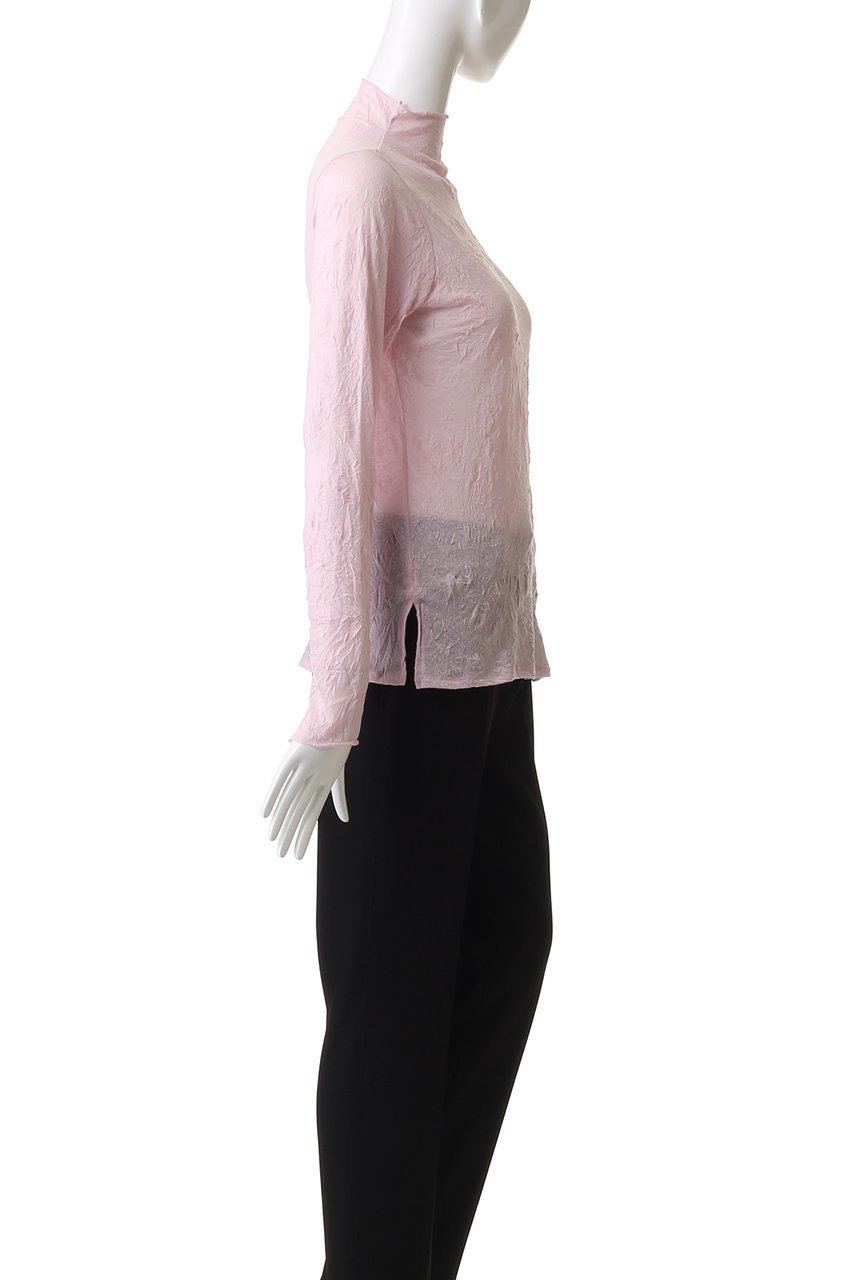【ミディウミソリッド/MIDIUMISOLID】のsheer high neck inner.S インナー 人気、トレンドファッション・服の通販 founy(ファニー) 　ファッション　Fashion　レディースファッション　Fashion for Women　トップス・カットソー　Cut & Sew Tops　シャツ・ブラウス・オフィスカジュアル　Elegant Blouses & Button-Ups　ロングTシャツ・Tシャツ　Longline T-Shirts & Tees　カットソー・ベーシックTシャツ　Cut-and-Sewn Tops / Stretch Tees & Basics　2025年　2025　2025-2026秋冬・A/W　Autumn/Winter 2025–26 AW25–26　インナー　Innerwear　シアー　Sheer, See-Through　シンプル　Simple, Minimal　スリーブ　Sleeve, Long Sleeve / Short Sleeve　ハイネック　High Neck, Mock Neck　フィット　Fit, Slim Fit　ロング　Long, Long-Length　エレガント 上品　Elegant　A/W・秋冬　Autumn/Winter　other-3|ID: prp329100004642538 ipo3291000000033486410