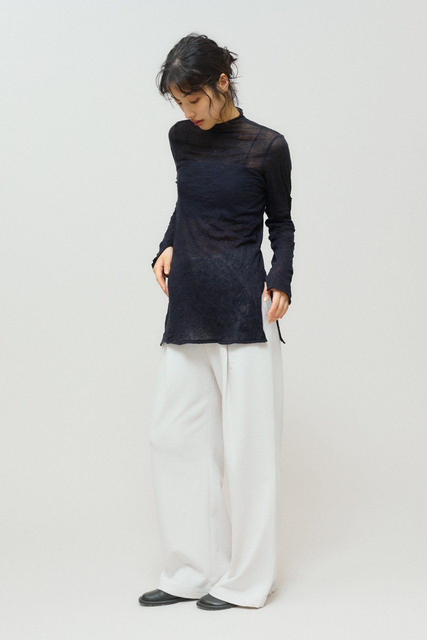 【ミディウミソリッド/MIDIUMISOLID】のsheer high neck inner.S インナー 人気、トレンドファッション・服の通販 founy(ファニー) 　ファッション　Fashion　レディースファッション　Fashion for Women　トップス・カットソー　Cut & Sew Tops　シャツ・ブラウス・オフィスカジュアル　Elegant Blouses & Button-Ups　ロングTシャツ・Tシャツ　Longline T-Shirts & Tees　カットソー・ベーシックTシャツ　Cut-and-Sewn Tops / Stretch Tees & Basics　インナー　Innerwear　シアー　Sheer, See-Through　シンプル　Simple, Minimal　スリーブ　Sleeve, Long Sleeve / Short Sleeve　ハイネック　High Neck, Mock Neck　フィット　Fit, Slim Fit　ロング　Long, Long-Length　エレガント 上品　Elegant　other-7|ID: prp329100004642538 ipo3291000000034091464