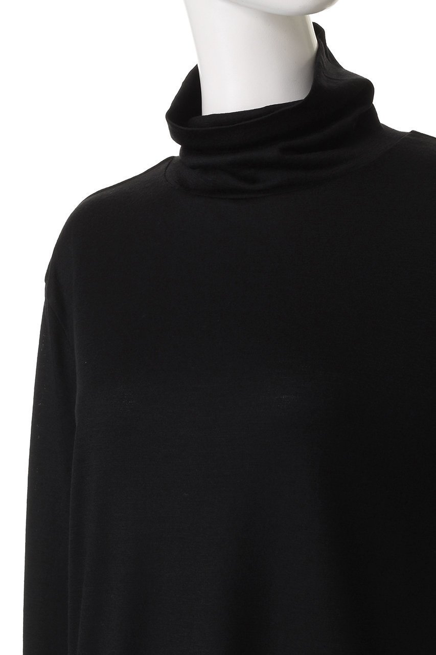 【スローン/SLOANE】のウール天竺 ニットタートルネック長袖Tシャツ 人気、トレンドファッション・服の通販 founy(ファニー) 　ファッション　Fashion　レディースファッション　Fashion for Women　トップス・カットソー　Cut & Sew Tops　ニット　Knit Tops & Sweaters　シャツ・ブラウス・オフィスカジュアル　Elegant Blouses & Button-Ups　ロングTシャツ・Tシャツ　Longline T-Shirts & Tees　カジュアルプルオーバー・ニットトップス　Pullovers & Knit Tops / Casual Pullovers　タートルネック・ハイネックトップス　Turtlenecks & High-Neck Tops　2025年　2025　2025-2026秋冬・A/W　Autumn/Winter 2025–26 AW25–26　なめらか　Smooth, Silky Texture　インナー　Innerwear　ストレッチ　Stretch, Stretchy Fabric　タートルネック　Turtleneck, High Neck　フィット　Fit, Slim Fit　A/W・秋冬　Autumn/Winter　長袖　Long Sleeve, Full Sleeve　other-5|ID: prp329100004643600 ipo3291000000033498251