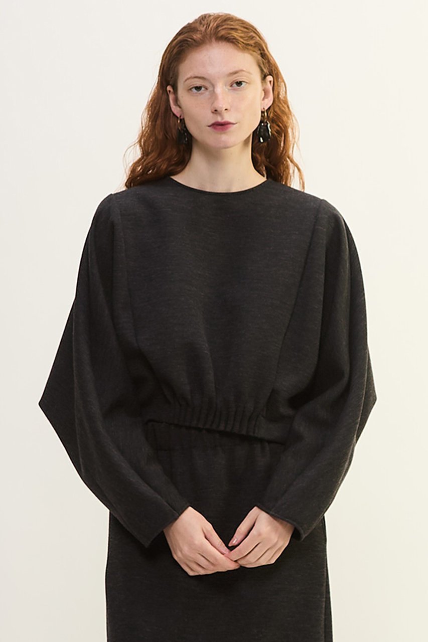 【プレインピープル/PLAIN PEOPLE】のダンボールジャージ/ミルドジャージゴムタックドルマンプルオーバー 人気、トレンドファッション・服の通販 founy(ファニー) 　ファッション　Fashion　レディースファッション　Fashion for Women　トップス・カットソー　Cut & Sew Tops　シャツ・ブラウス・オフィスカジュアル　Elegant Blouses & Button-Ups　ロングTシャツ・Tシャツ　Longline T-Shirts & Tees　カジュアルプルオーバー・ニットトップス　Pullovers & Knit Tops / Casual Pullovers　カットソー・ベーシックTシャツ　Cut-and-Sewn Tops / Stretch Tees & Basics　2025年　2025　2025-2026秋冬・A/W　Autumn/Winter 2025–26 AW25–26　なめらか　Smooth, Silky Texture　ストレート　Straight, Straight Cut　スリーブ　Sleeve, Long Sleeve / Short Sleeve　セットアップ　Set-Up, Coordinated Outfit　フォルム　Silhouette, Form　ボトム　Bottoms, Lower Wear　ロング　Long, Long-Length　ワイド　Wide, Wide Fit　A/W・秋冬　Autumn/Winter　other-4|ID: prp329100004649095 ipo3291000000033575838