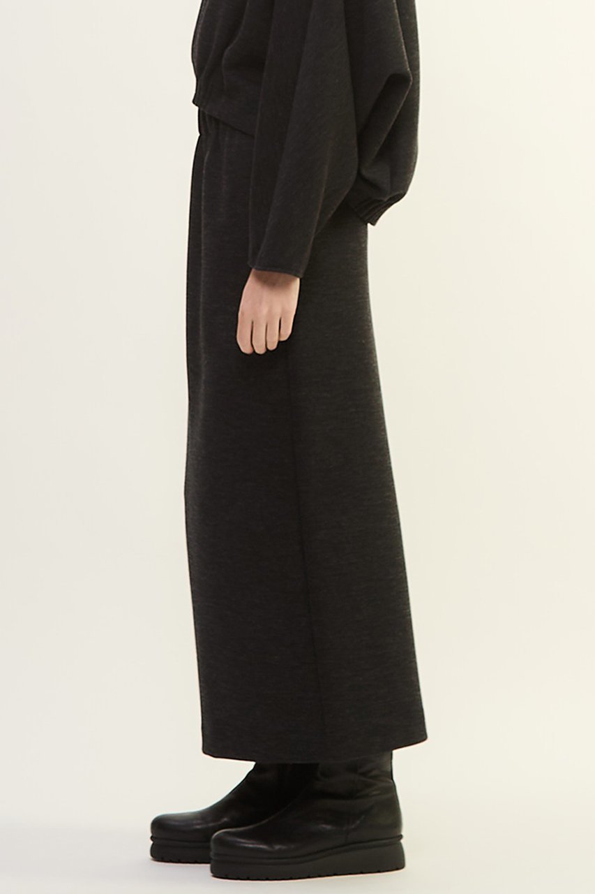 【プレインピープル/PLAIN PEOPLE】のダンボールジャージ/ミルドジャージストレートスカート 人気、トレンドファッション・服の通販 founy(ファニー) 　ファッション　Fashion　レディースファッション　Fashion for Women　スカート　Skirts　ロングスカート　Long Skirts / Maxi & Midi Skirts　2025年　2025　2025-2026秋冬・A/W　Autumn/Winter 2025–26 AW25–26　なめらか　Smooth, Silky Texture　ギャザー　Gathered, Ruffled　シンプル　Simple, Minimal　セットアップ　Set-Up, Coordinated Outfit　バランス　Balance, Style Balance　ロング　Long, Long-Length　A/W・秋冬　Autumn/Winter　other-2|ID: prp329100004649175 ipo3291000000033576489