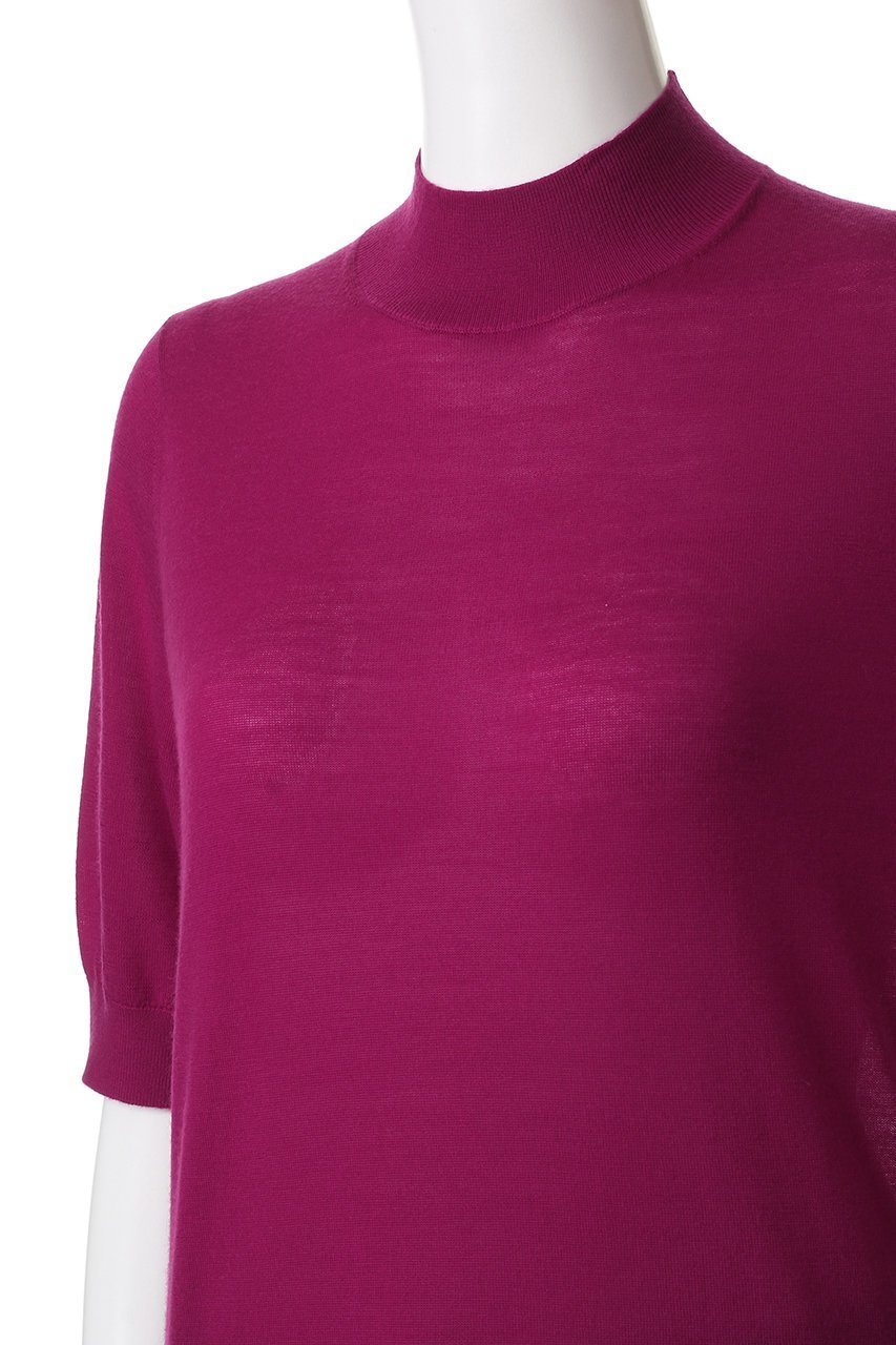 【アナイ/ANAYI】のスーパーFメリノハイネックプルオーバー 人気、トレンドファッション・服の通販 founy(ファニー) 　ファッション　Fashion　レディースファッション　Fashion for Women　トップス・カットソー　Cut & Sew Tops　ニット　Knit Tops & Sweaters　カジュアルプルオーバー・ニットトップス　Pullovers & Knit Tops / Casual Pullovers　スリーブ　Sleeve, Long Sleeve / Short Sleeve　ハイネック　High Neck, Mock Neck　ハーフ　Half, Half-Length　定番　Standard, Basic Item　other-5|ID: prp329100004651019 ipo3291000000035829101