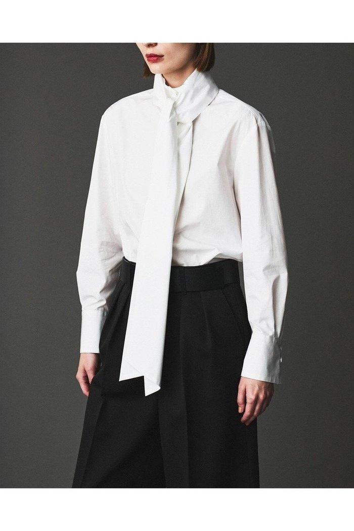 【オブリオ/AUBRIOT】のファインブロード ハイネックシャツ インテリア・キッズ・メンズ・レディースファッション・服の通販 founy(ファニー) https://founy.com/ ファッション Fashion レディースファッション Fashion for Women トップス・カットソー Cut & Sew Tops シャツ・ブラウス・オフィスカジュアル Elegant Blouses & Button-Ups エレガント 上品 Elegant シンプル Simple, Minimal ストライプ Stripe, Striped Pattern スリーブ Sleeve, Long Sleeve / Short Sleeve ハイネック High Neck, Mock Neck ロング Long, Long-Length ロンドン London Style, British Inspired ワイド Wide, Wide Fit 定番 Standard, Basic Item 新作・新入荷 New Arrivals / New In 無地 Plain, Solid Color |ID: prp329100004652056 ipo3291000000033616195
