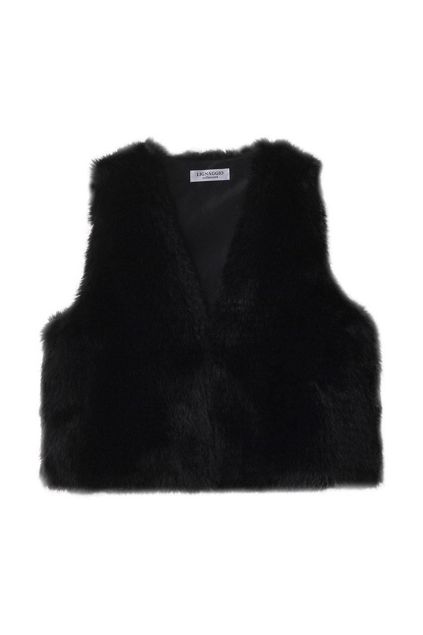 【リナージオ/LIGNAGGIO】のフワフワフェイクファージレ インテリア・キッズ・メンズ・レディースファッション・服の通販 founy(ファニー) 　ファッション　Fashion　レディースファッション　Fashion for Women　アウター　Coat / Outerwear Collection　レディースジャケット・軽アウター　Jackets　コンパクト　Compact, Small Size　シンプル　Simple, Minimal　ジャケット　Jacket, Outerwear　トレンド　Trend, Trending Now　パーティ　Party, Party Style　フェイクファー　Faux Fur, Imitation Fur　ベスト　Vest, Waistcoat　ベーシック　Basic, Essential　再入荷　Restock / Back in Stock　A/W・秋冬　Autumn/Winter　ブラック|ID: prp329100004655024 ipo3291000000033662061