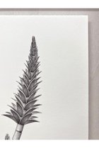 thumbnail other-2
