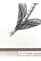 thumbnail other-4