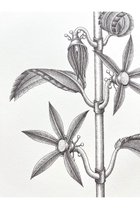 thumbnail other-3