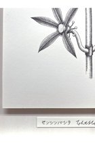 thumbnail other-4