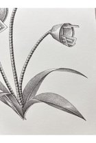 thumbnail other-3
