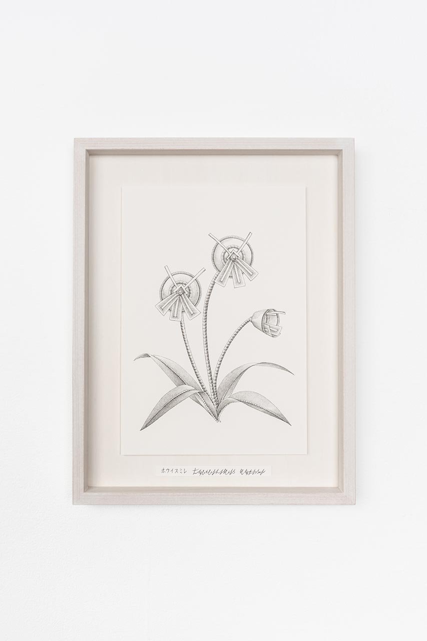 【アートオテーク/ARTOTHEQUE / GOODS】の【則松 夏凜】ホウイスミレ インテリア・キッズ・メンズ・レディースファッション・服の通販 founy(ファニー) 　アクリル　Acrylic Material　ガラス　Glass, Glassware　メンズ　Men's, Menswear　夏　Summer　-|ID: prp329100004655162 ipo3291000000035818216