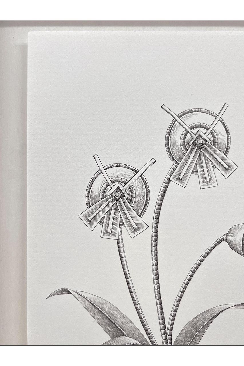 【アートオテーク/ARTOTHEQUE / GOODS】の【則松 夏凜】ホウイスミレ 人気、トレンドファッション・服の通販 founy(ファニー) 　アクリル　Acrylic Material　ガラス　Glass, Glassware　メンズ　Men's, Menswear　夏　Summer　other-2|ID: prp329100004655162 ipo3291000000035818217