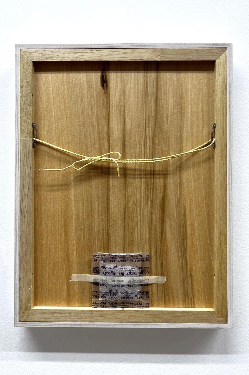 【アートオテーク/ARTOTHEQUE / GOODS】の【則松 夏凜】ホウイスミレ 人気、トレンドファッション・服の通販 founy(ファニー) 　アクリル　Acrylic Material　ガラス　Glass, Glassware　メンズ　Men's, Menswear　夏　Summer　other-5|ID: prp329100004655162 ipo3291000000035818221