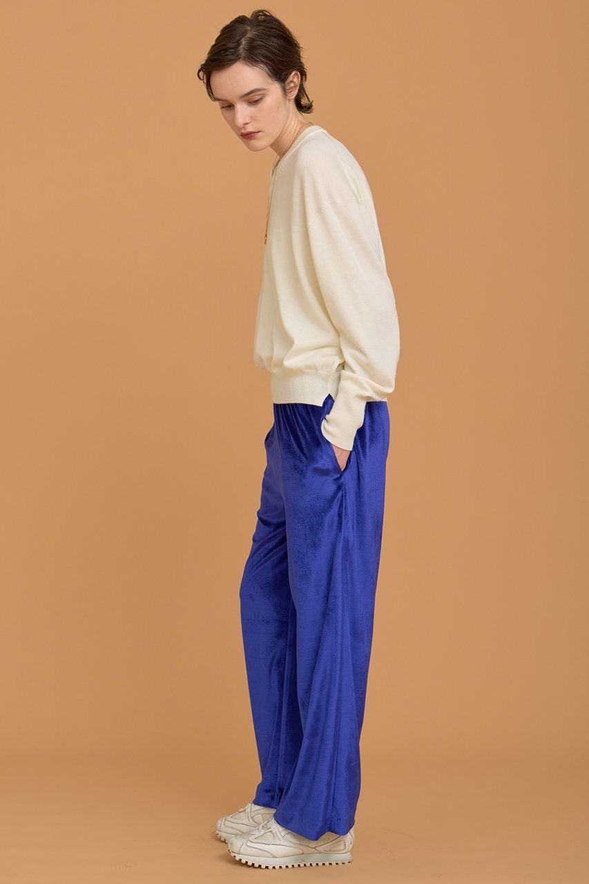 【ハウス オブ ロータス/HOUSE OF LOTUS】のトリアセベロアパンツ 人気、トレンドファッション・服の通販 founy(ファニー) 　ファッション　Fashion　レディースファッション　Fashion for Women　パンツ　Pants & Trousers　サテン　Satin, Glossy Fabric　シルク　Silk, 100% Silk　ストレッチ　Stretch, Stretchy Fabric　ストレート　Straight, Straight Cut　ベロア　Velour, Soft Velvet　新作・新入荷　New Arrivals / New In　other-6|ID: prp329100004658469 ipo3291000000033715232