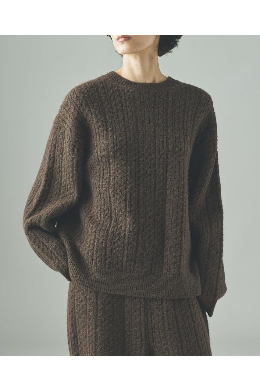 【カレンソロジー/Curensology】のシャギーケーブルニットプルオーバー インテリア・キッズ・メンズ・レディースファッション・服の通販 founy(ファニー) 　ファッション　Fashion　レディースファッション　Fashion for Women　トップス・カットソー　Cut & Sew Tops　ニット　Knit Tops & Sweaters　カジュアルプルオーバー・ニットトップス　Pullovers & Knit Tops / Casual Pullovers　おすすめ　Recommended / Our Picks　シンプル　Simple, Minimal　ストレッチ　Stretch, Stretchy Fabric　セットアップ　Set-Up, Coordinated Outfit　ベーシック　Basic, Essential　ボトム　Bottoms, Lower Wear　ランダム　Random, Irregular　新作・新入荷　New Arrivals / New In　ブラウン|ID: prp329100004658514 ipo3291000000033715586