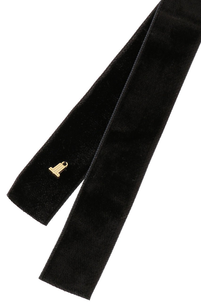 【ランバン オン ブルー/LANVIN en Bleu】のベルベットリボンメタルネックレス 人気、トレンドファッション・服の通販 founy(ファニー) 　ファッション　Fashion　レディースファッション　Fashion for Women　ジュエリー　Jewelry　ネックレス　Necklaces & Pendants　チェーン　Chain, Chain Strap　ドッキング　Docking, Mixed Material　ネックレス　Necklace, Pendant Necklace　ベルベット　Velvet, Velvety　リボン　Ribbon, Bow　ロング　Long, Long-Length　新作・新入荷　New Arrivals / New In　other-4|ID: prp329100004664766 ipo3291000000033743731