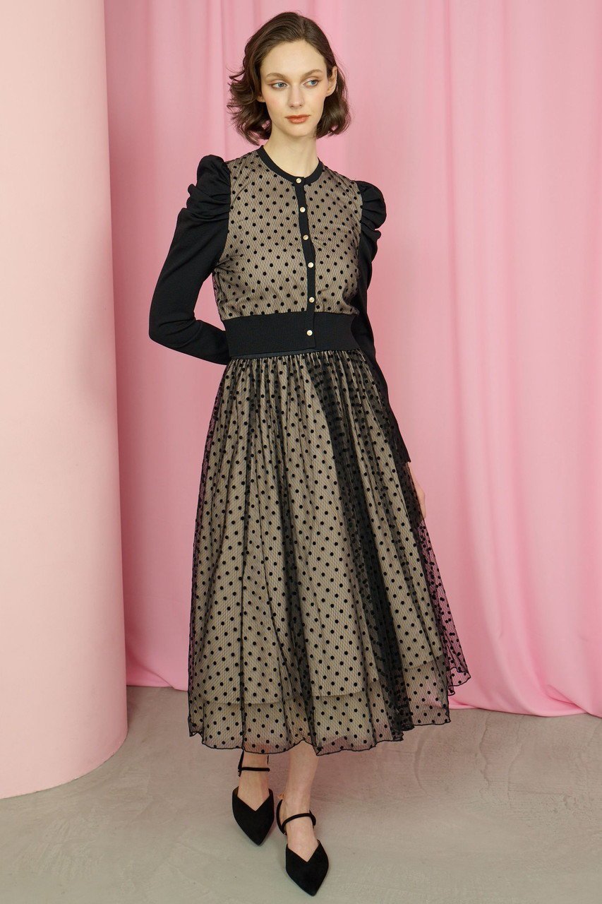 【コルコバード/CORCOVADO】のチュールドットフロッキースカート 人気、トレンドファッション・服の通販 founy(ファニー) 　ファッション　Fashion　レディースファッション　Fashion for Women　スカート　Skirts　2025年　2025　2025-2026秋冬・A/W　Autumn/Winter 2025–26 AW25–26　ケミカル　Chemical, Chemical Wash　チュール　Tulip, Tulip Motif　ドット　Polka Dot, Dot Pattern　プリント　Print, Printed Pattern　レース　Lace, Lace Fabric　人気　Popular, Best Seller　定番　Standard, Basic Item　A/W・秋冬　Autumn/Winter　other-8|ID: prp329100004664778 ipo3291000000033743869