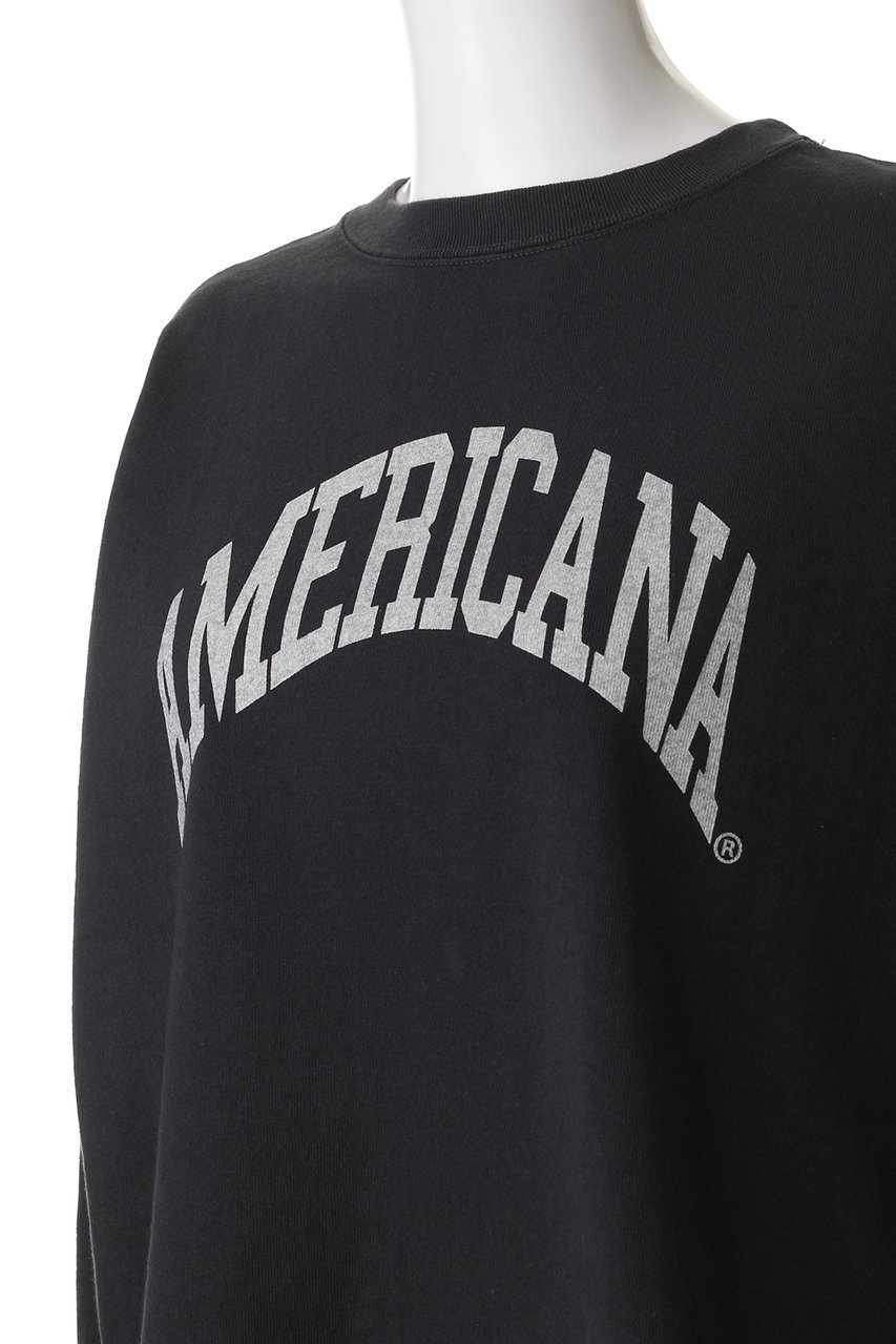 【アメリカーナ/Americana】のUSED加工ロングスリーブTシャツ 人気、トレンドファッション・服の通販 founy(ファニー) 　ファッション　Fashion　レディースファッション　Fashion for Women　トップス・カットソー　Cut & Sew Tops　シャツ・ブラウス・オフィスカジュアル　Elegant Blouses & Button-Ups　ロングTシャツ・Tシャツ　Longline T-Shirts & Tees　カットソー・ベーシックTシャツ　Cut-and-Sewn Tops / Stretch Tees & Basics　シンプル　Simple, Minimal　スリーブ　Sleeve, Long Sleeve / Short Sleeve　ダメージ　Distressed, Destroyed　リラックス　Relax, Relaxed Fit　ロング　Long, Long-Length　ワイド　Wide, Wide Fit　新作・新入荷　New Arrivals / New In　other-5|ID: prp329100004669664 ipo3291000000033762814