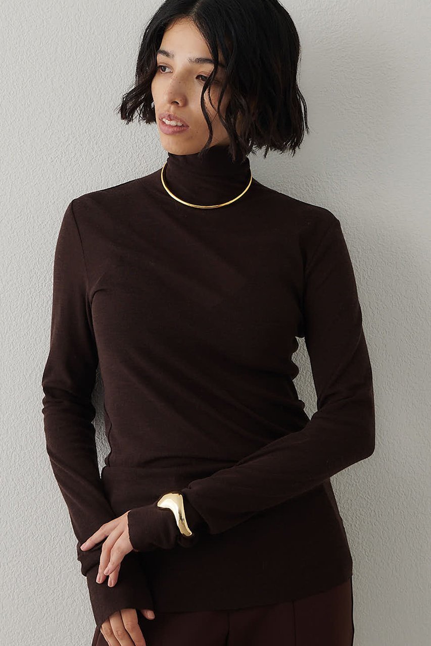 【ウィムガゼット/Whim Gazette】のウール混カットタートルプルオーバー インテリア・キッズ・メンズ・レディースファッション・服の通販 founy(ファニー) 　ファッション　Fashion　レディースファッション　Fashion for Women　トップス・カットソー　Cut & Sew Tops　ニット　Knit Tops & Sweaters　カジュアルプルオーバー・ニットトップス　Pullovers & Knit Tops / Casual Pullovers　シアー　Sheer, See-Through　シンプル　Simple, Minimal　スタンダード　Standard, Basic　ストレッチ　Stretch, Stretchy Fabric　タートルネック　Turtleneck, High Neck　A/W・秋冬　Autumn/Winter　ブラウン|ID: prp329100004676026 ipo3291000000035742790